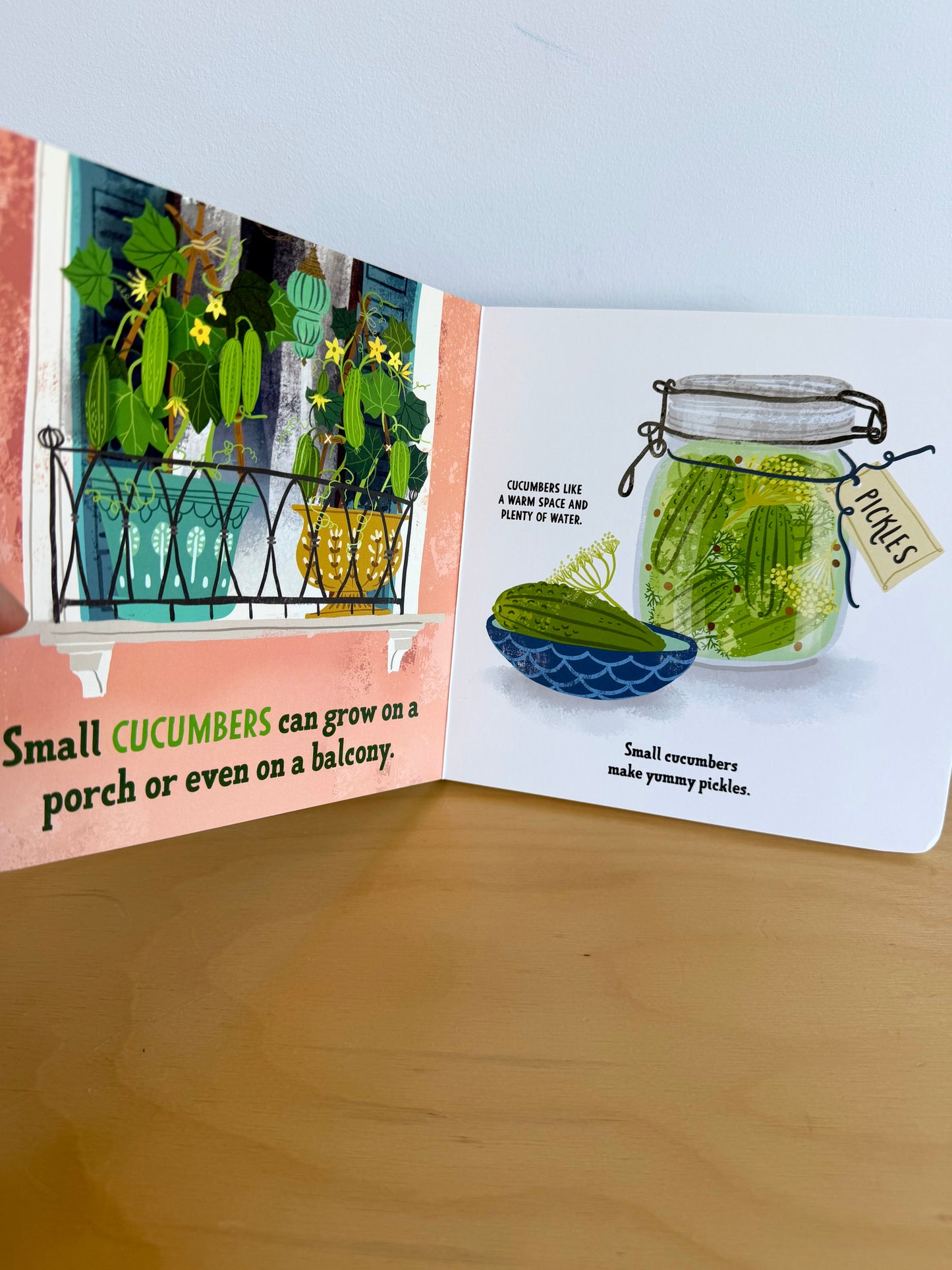 First Book of Growing Food Board Book / 1-5 years