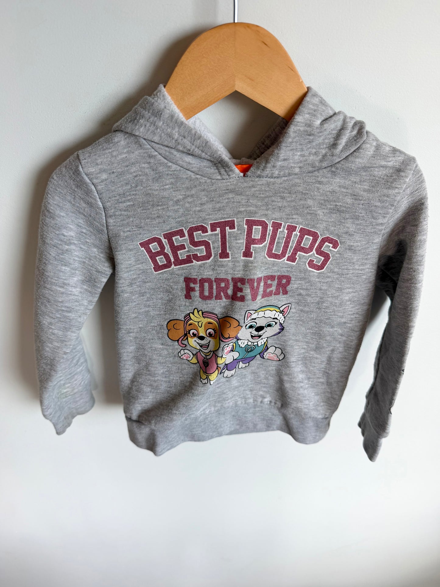 Best Pups Paw Patrol Hoodie / 3T
