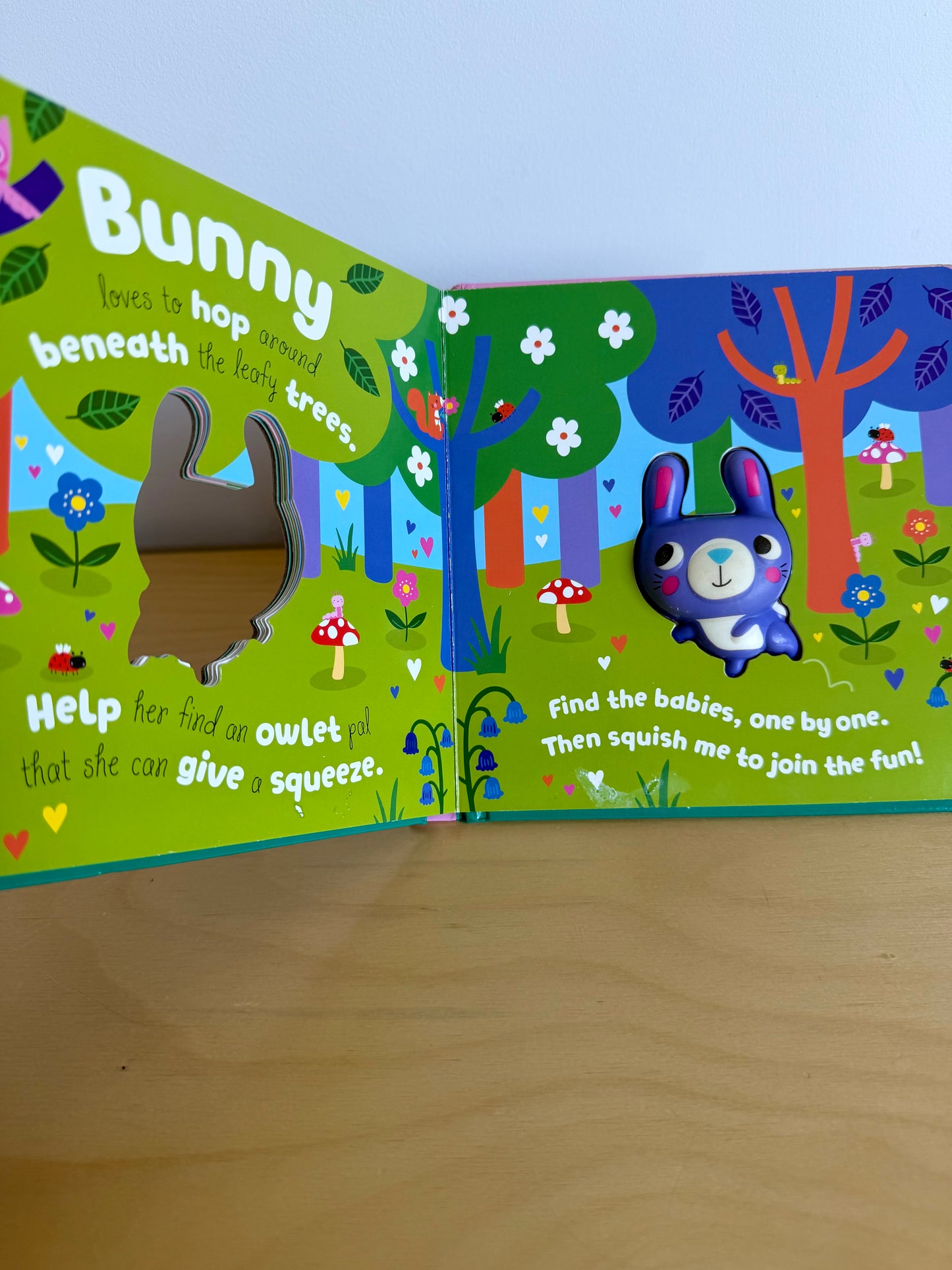 Squish'n'Squeeze Bunny Board Book / 0-3 years