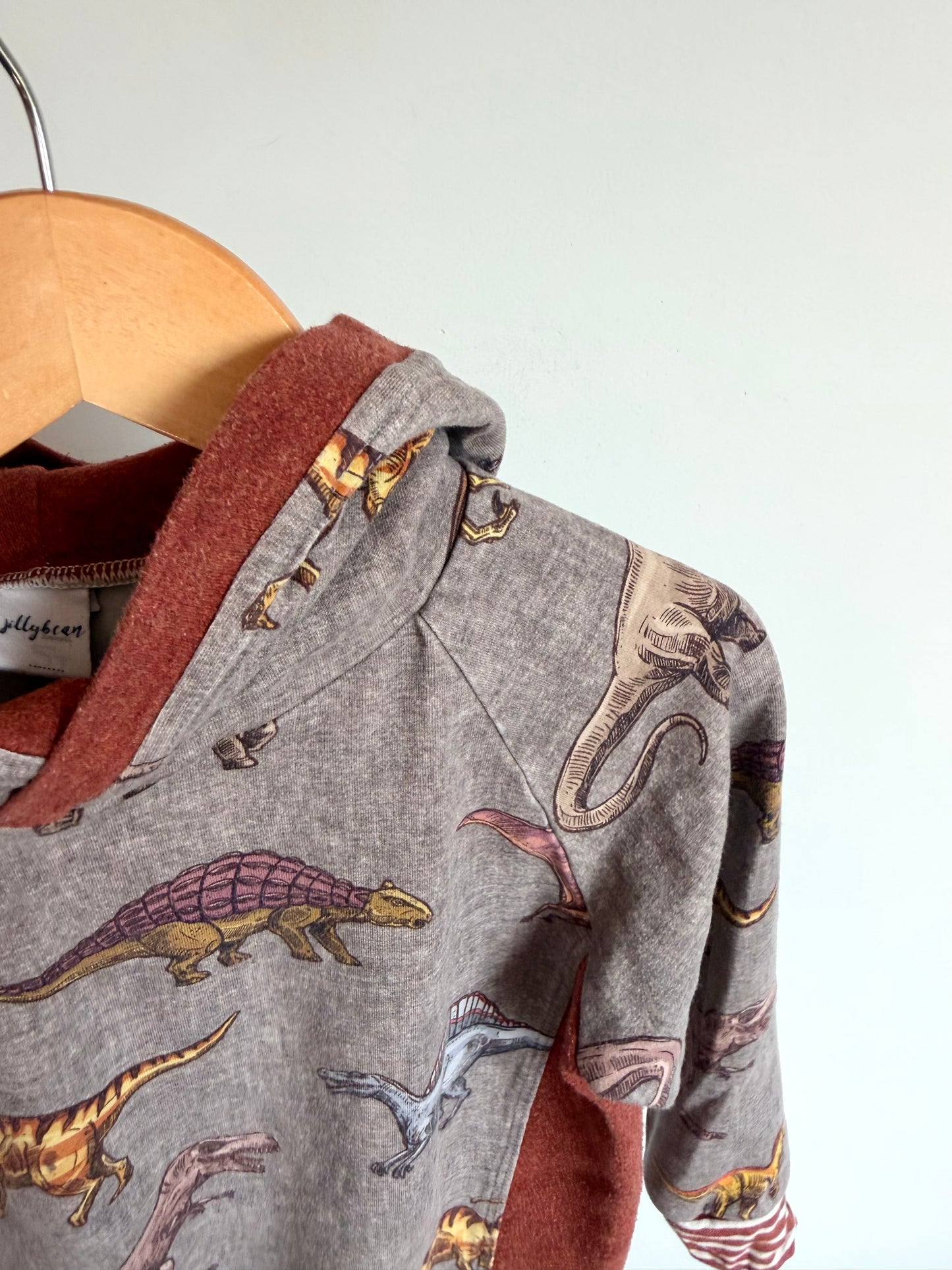 Handmade Dino Hoodie / 5 years