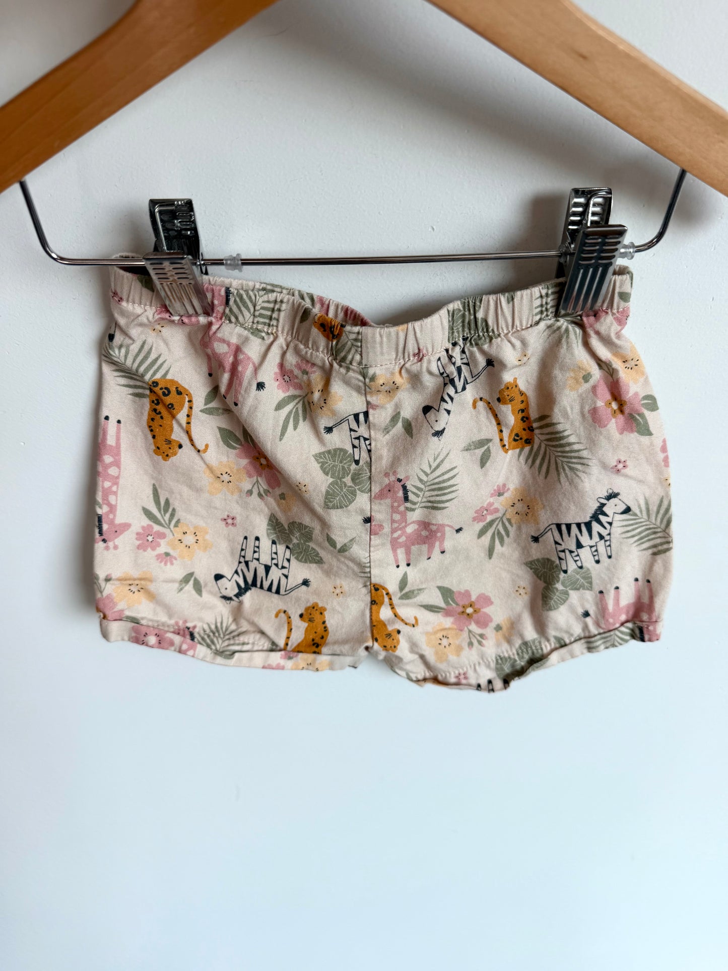 Zebra Cotton Shorts / 12m