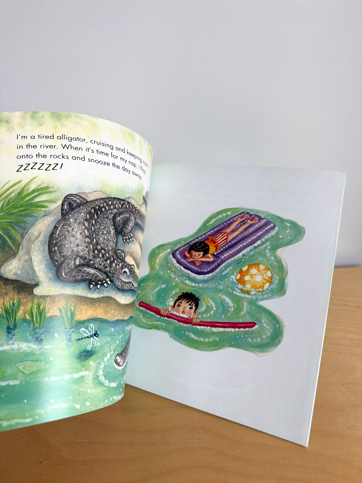 Whoosh! Softcover Book / 2-5 years