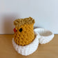 Handmade Crochet Egg + Chick Toy