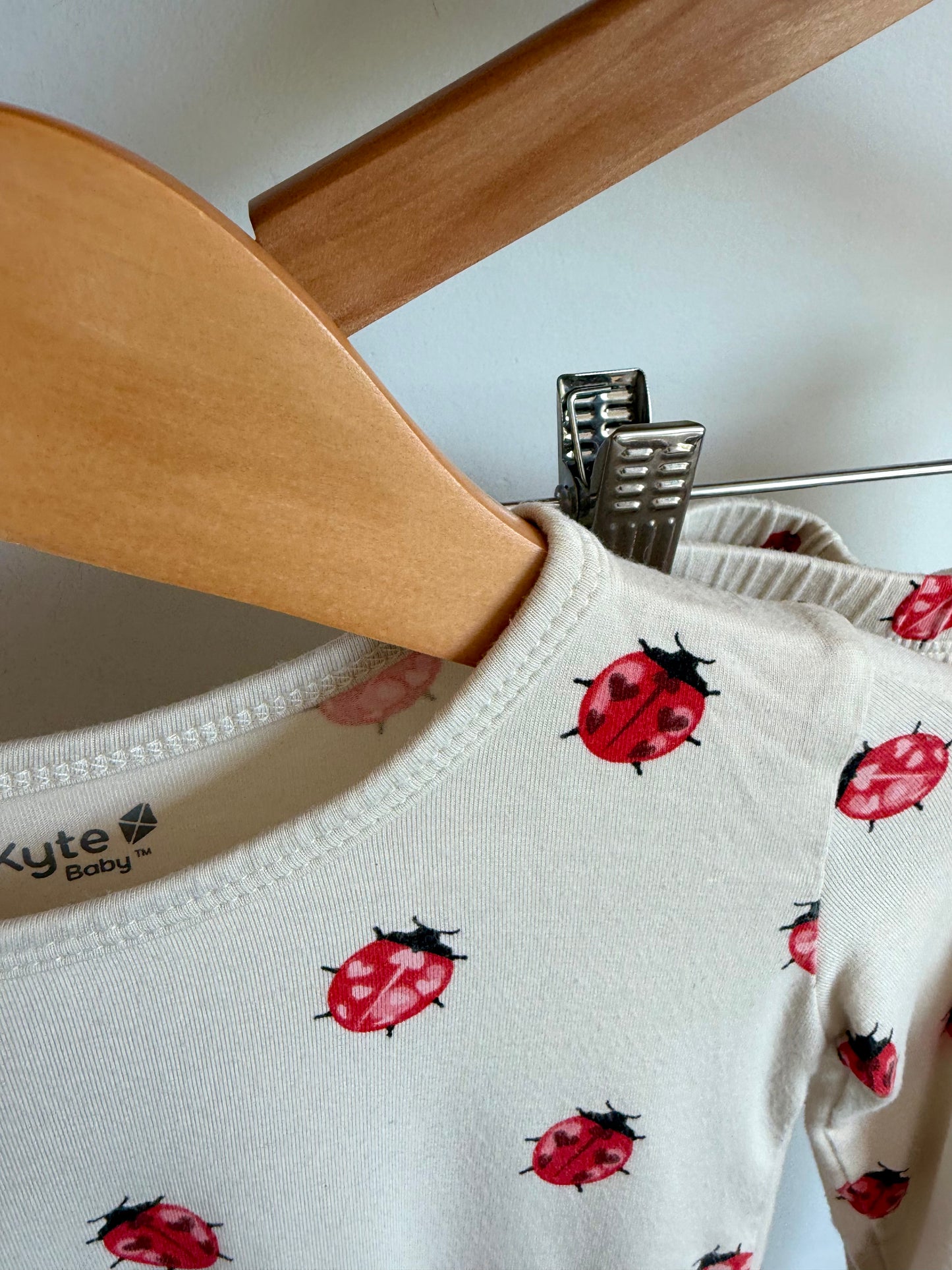 Kyte Bamboo Ladybug PJ Set / 2T