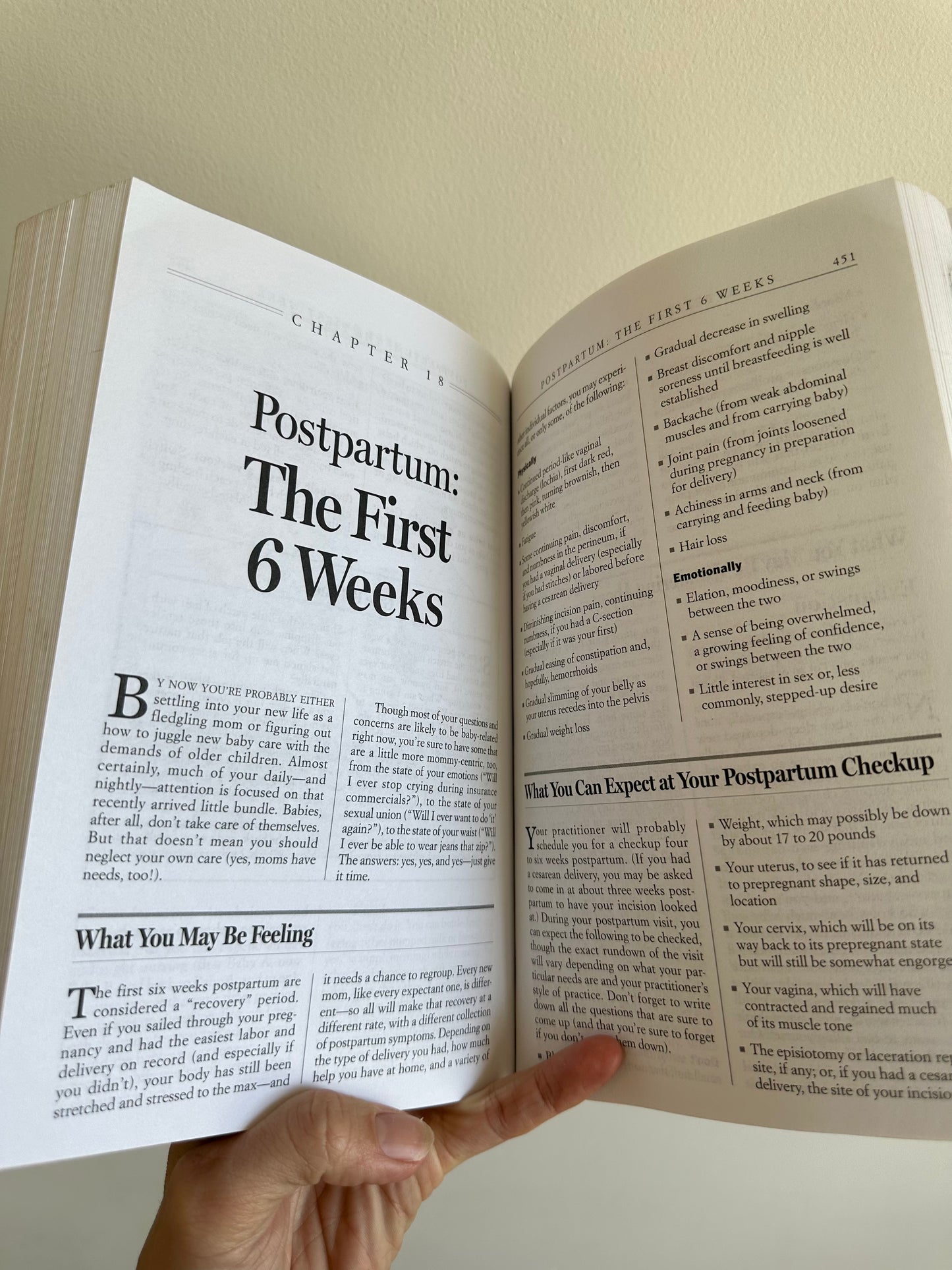 What To Expect When You're Expecting Book