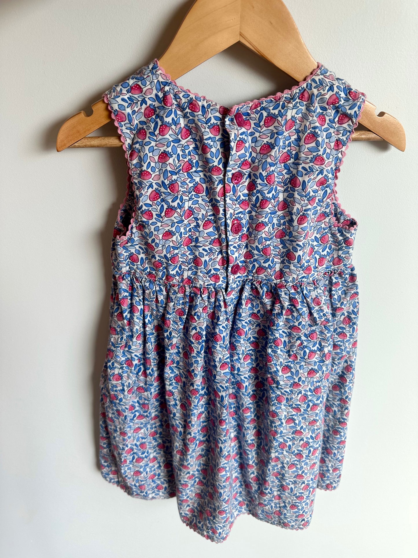 Strawberry Dress / 3-4T