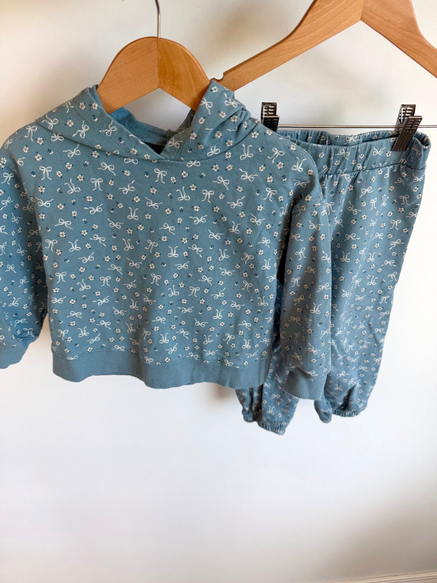 Blue Bow + Floral Hoodie + Pants Set / 3T
