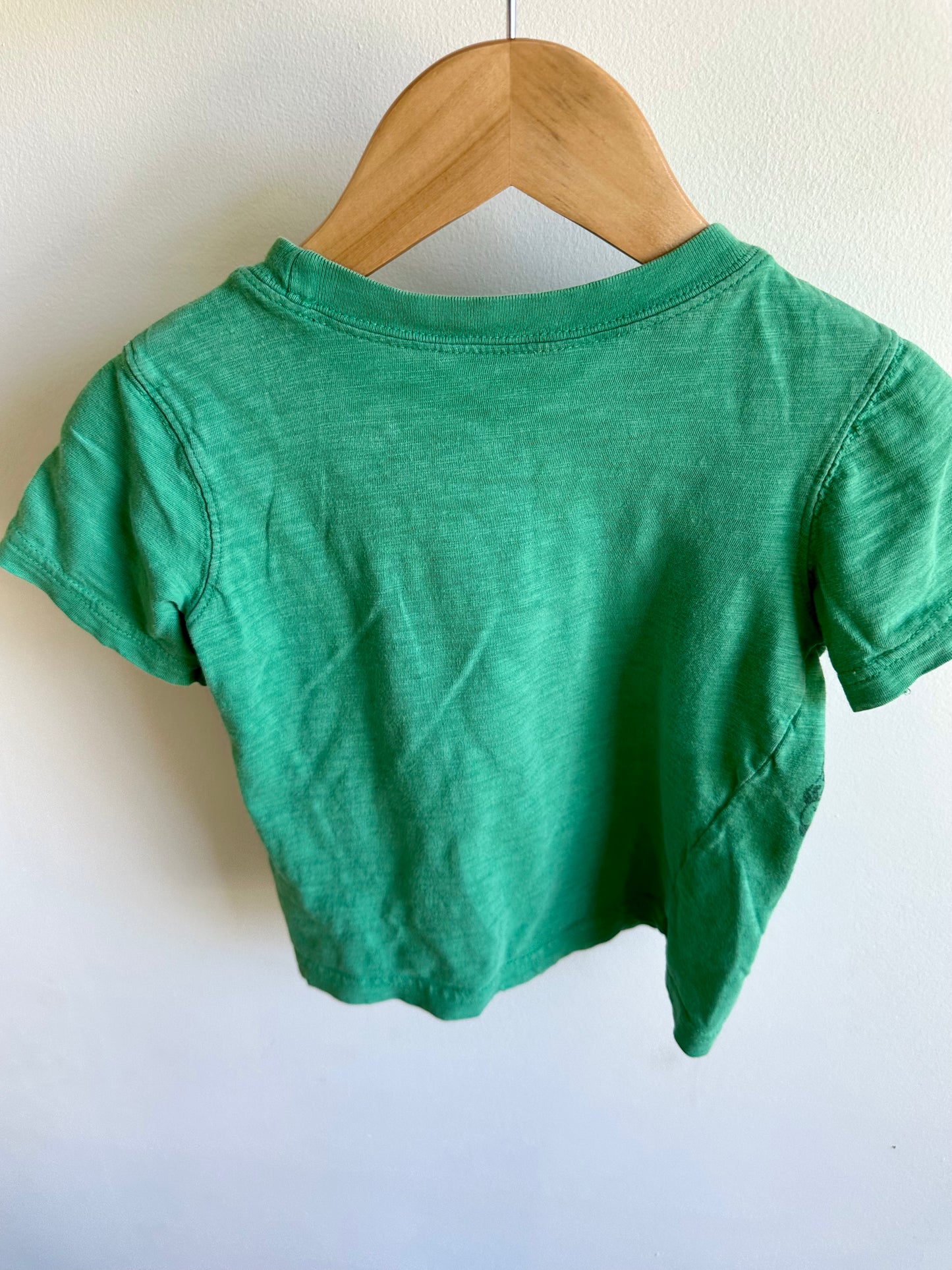 Green Dino T-Shirt / 2T