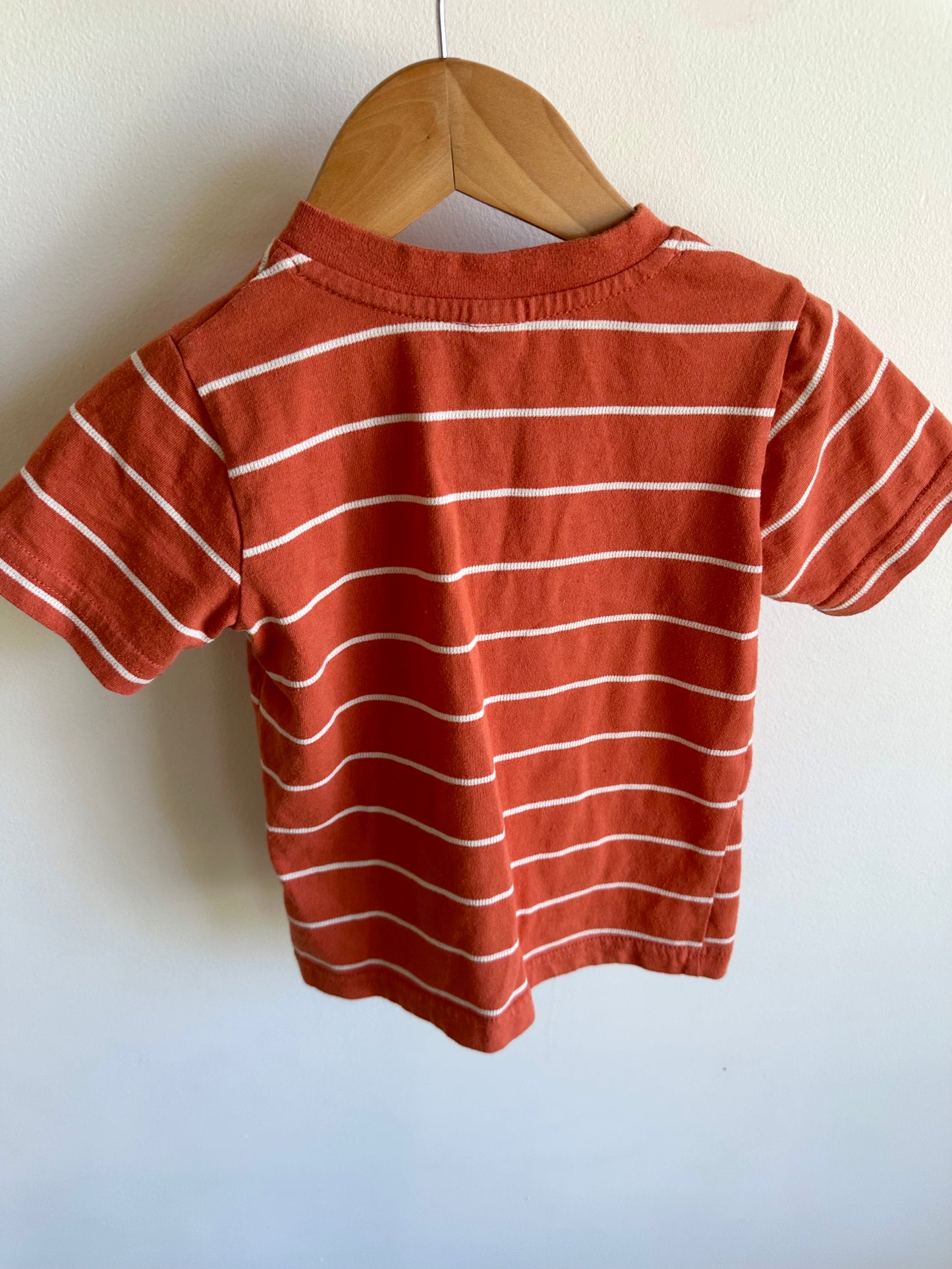 Orange Striped T-Shirt / 2T