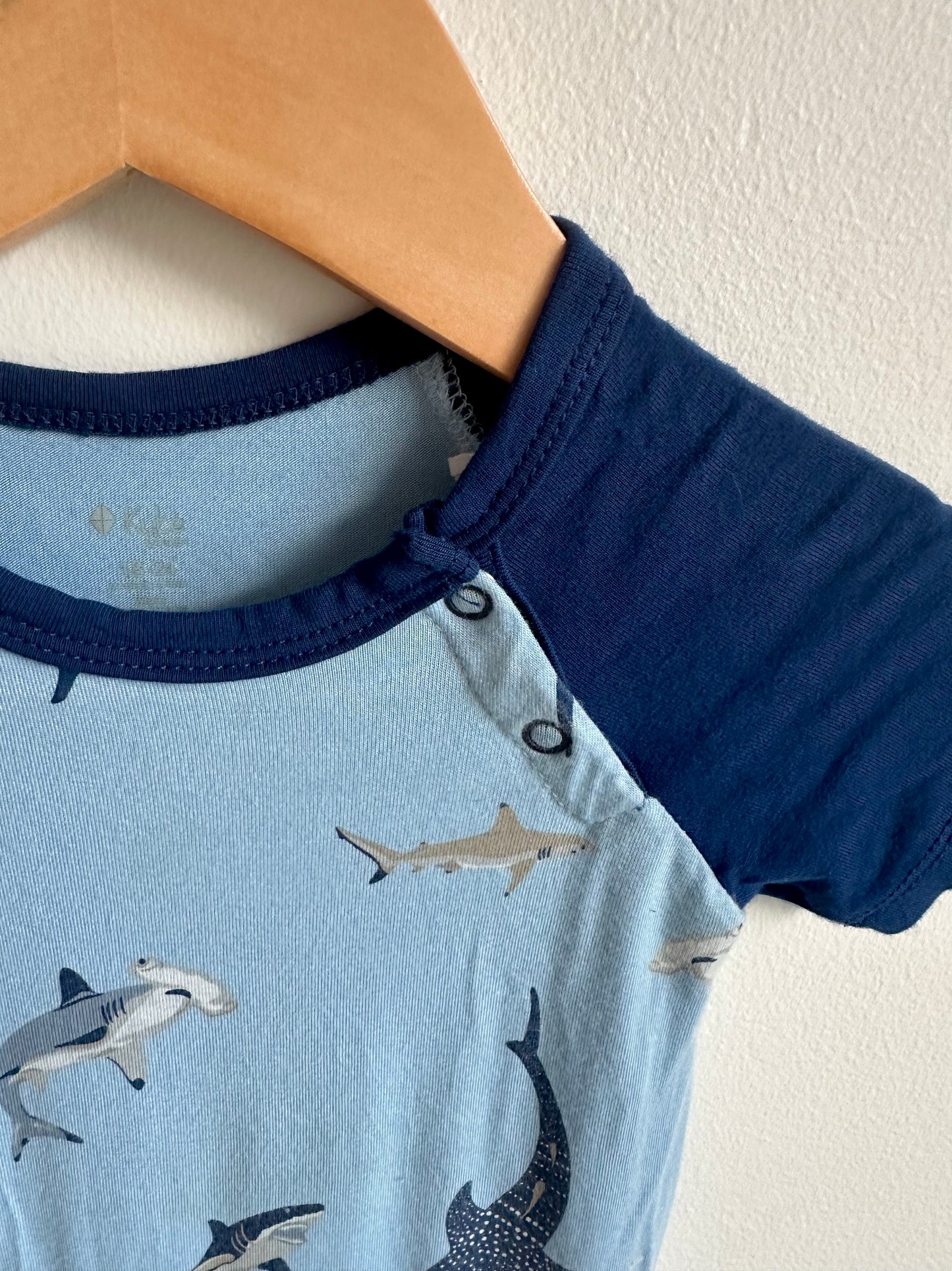 Kyte Shark Romper (PLAY) / 18-24m