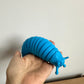 Blue Slinky Slug
