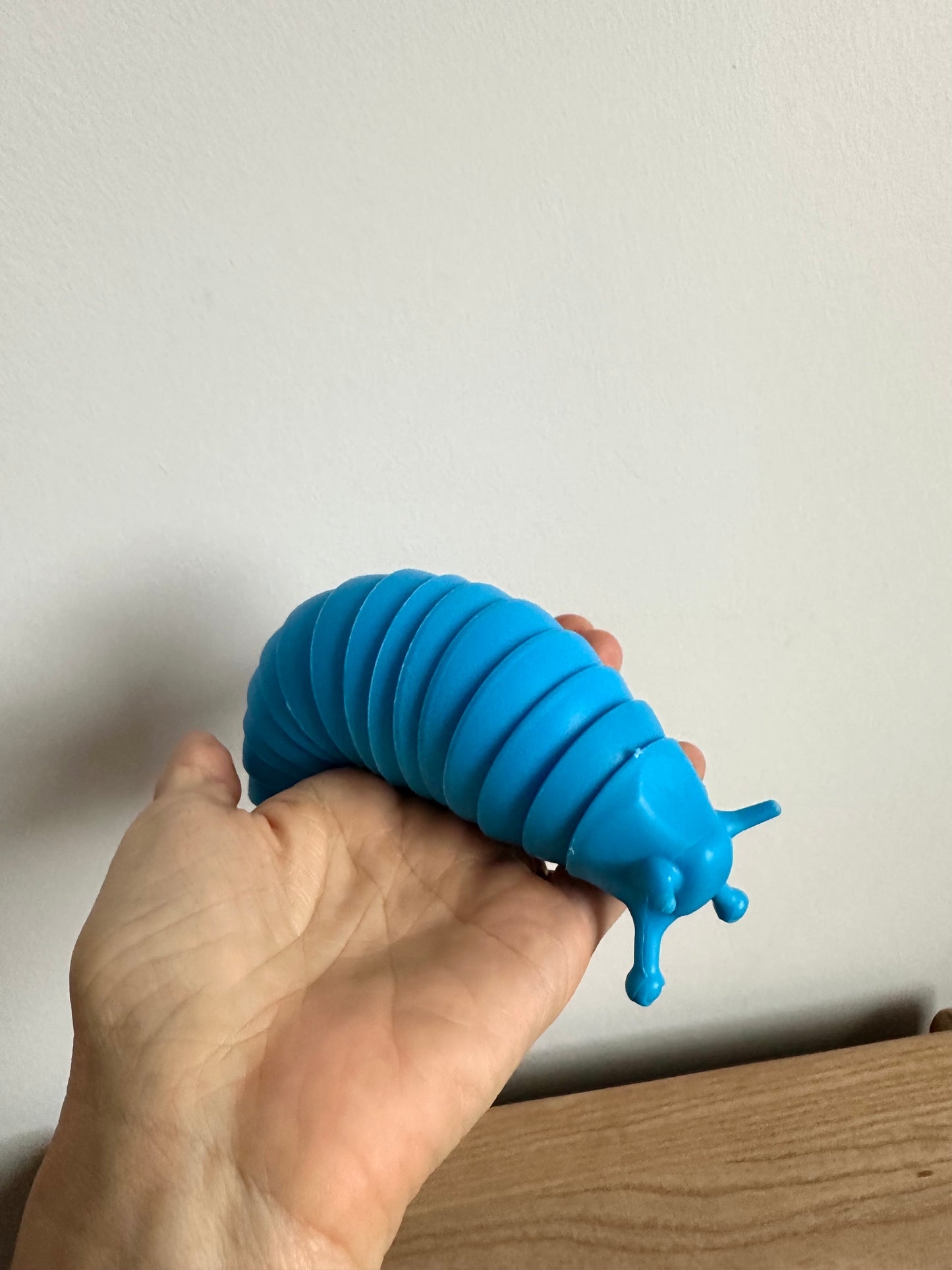 Blue Slinky Slug