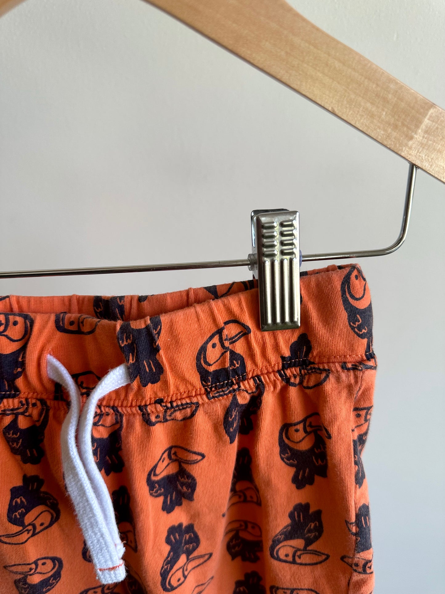Toucan Orange Shorts / 2T