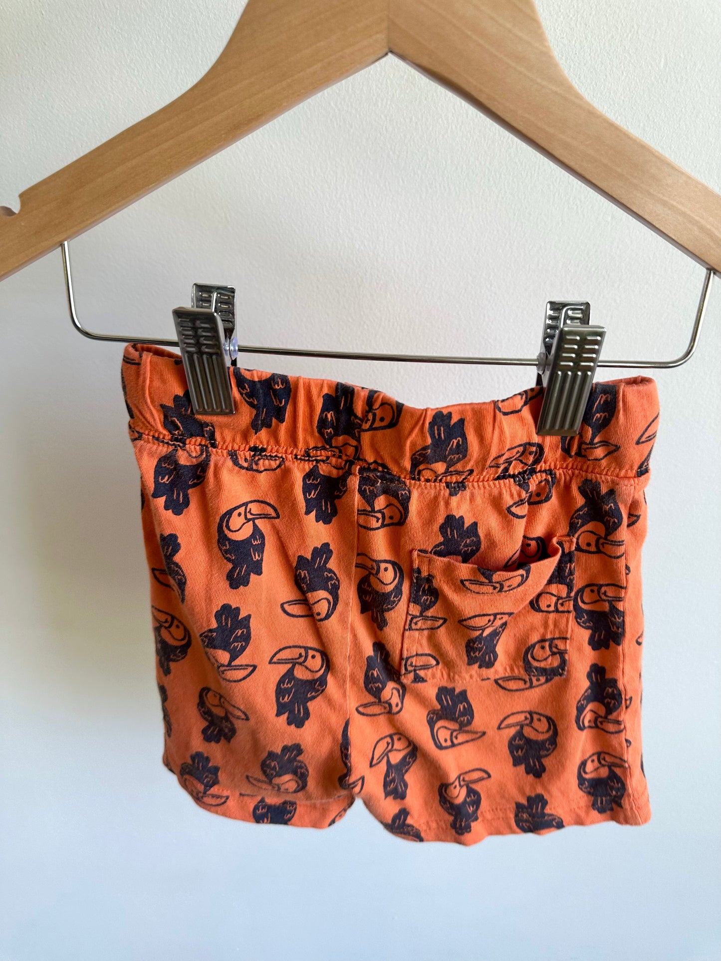 Toucan Orange Shorts / 2T