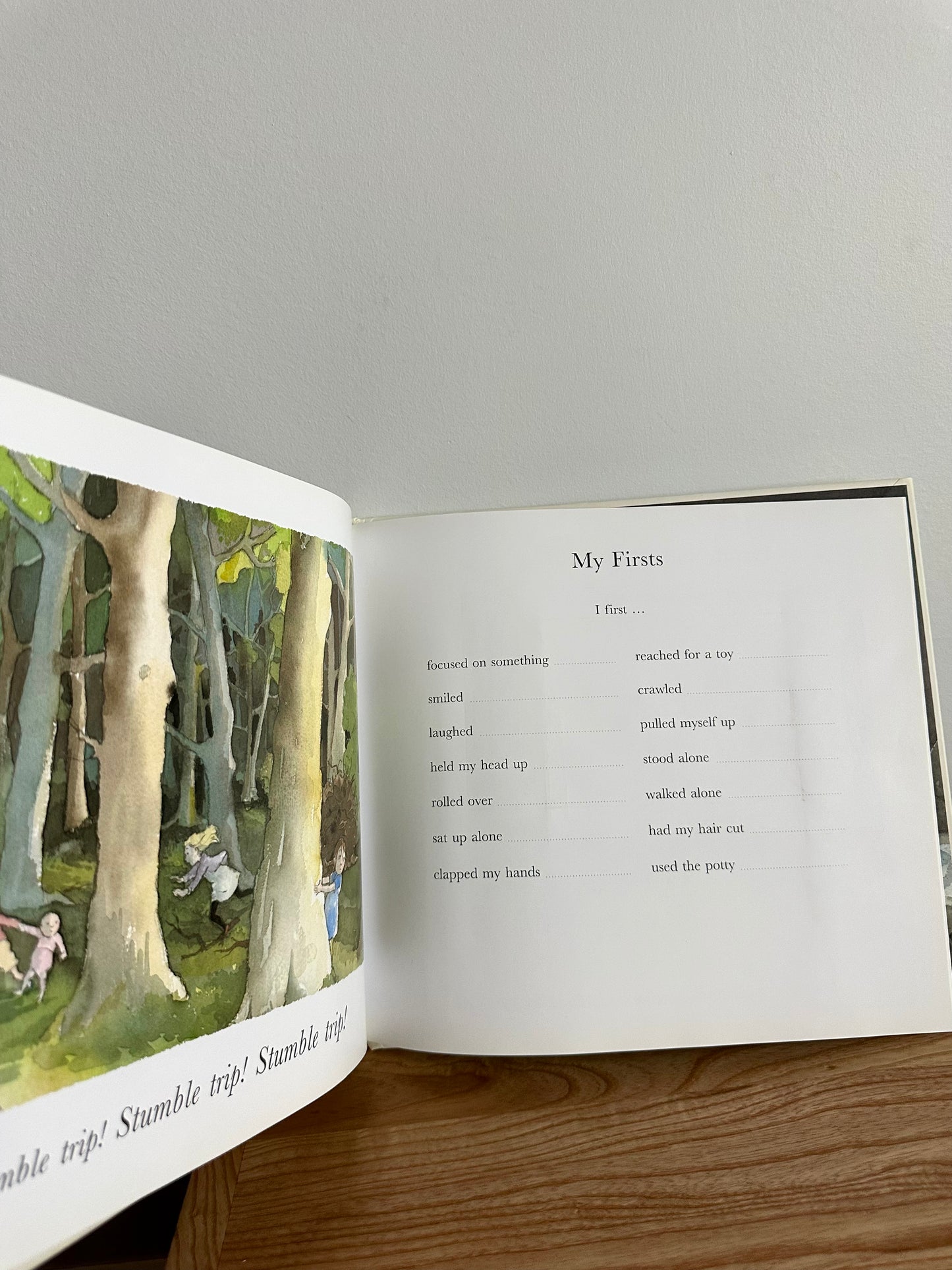 We're Going on a Bear Hunt Baby Book (No Shipping)