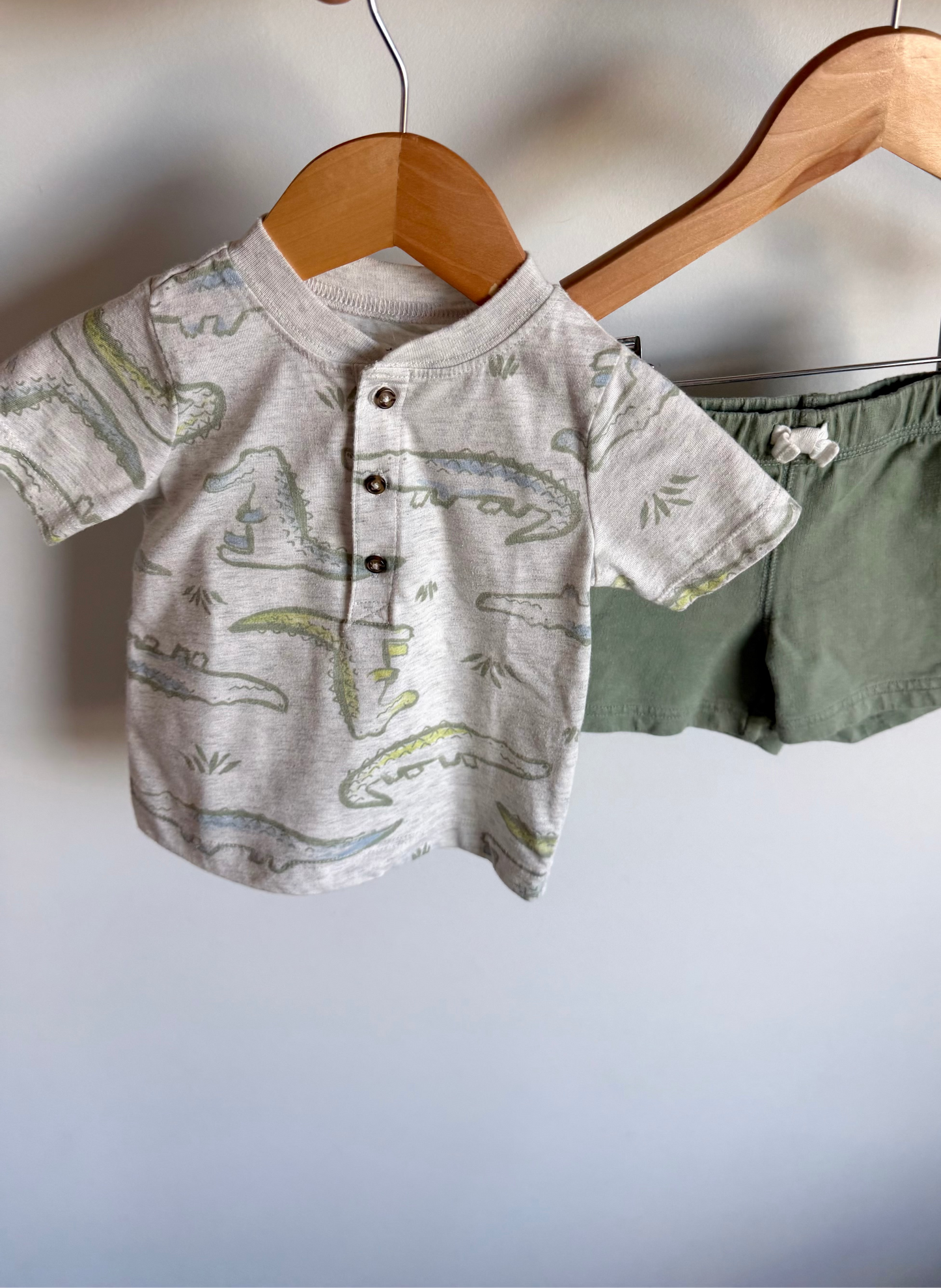 Alligator T-shirt + Sage Shorts Set / 12m
