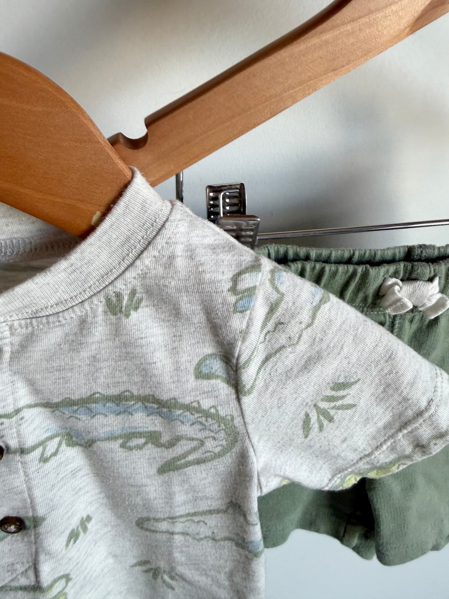 Alligator T-shirt + Sage Shorts Set / 12m