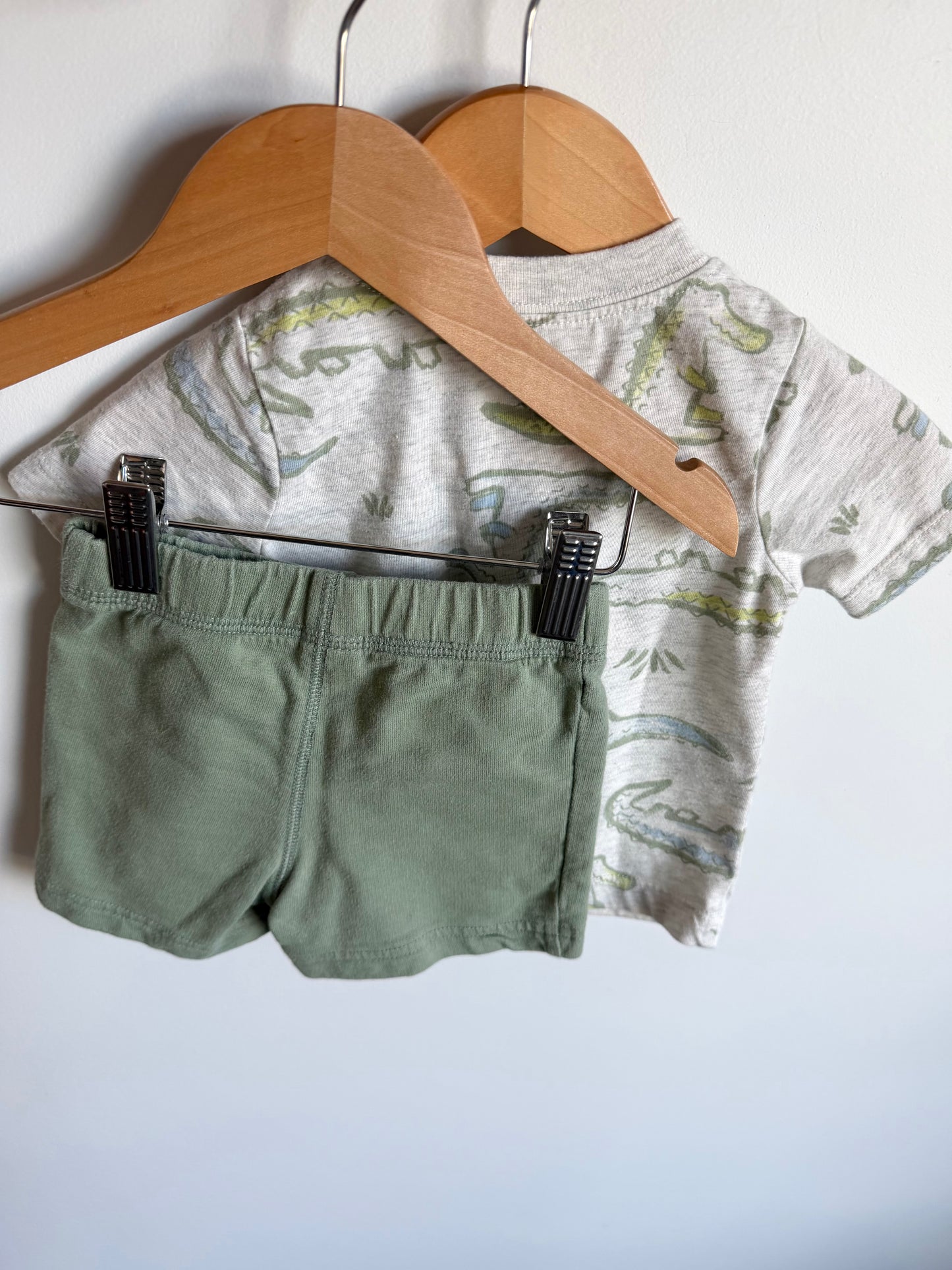 Alligator T-shirt + Sage Shorts Set / 12m