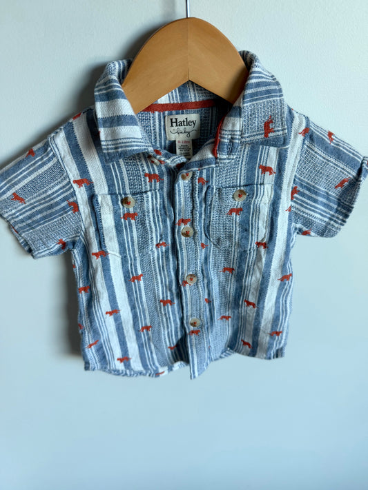 Hatley Collared Button Up T-shirt / 9-12m