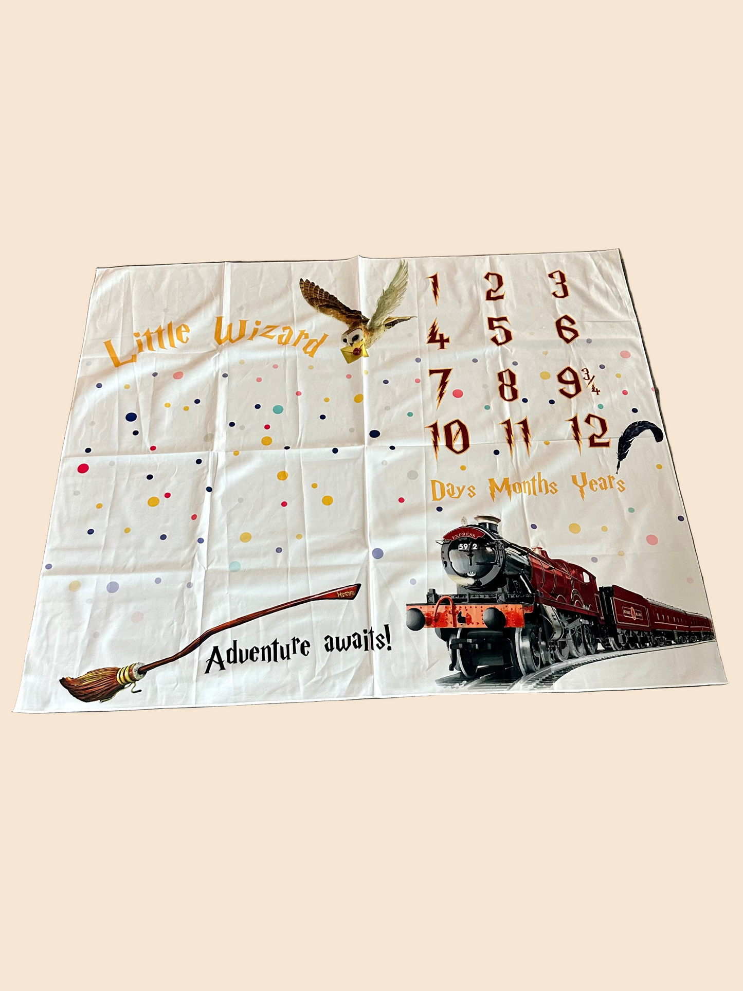 Harry Potter Little Wizard Milestone Blanket