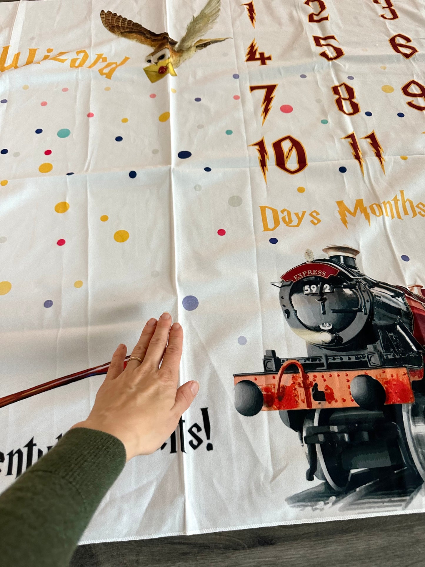 Harry Potter Little Wizard Milestone Blanket