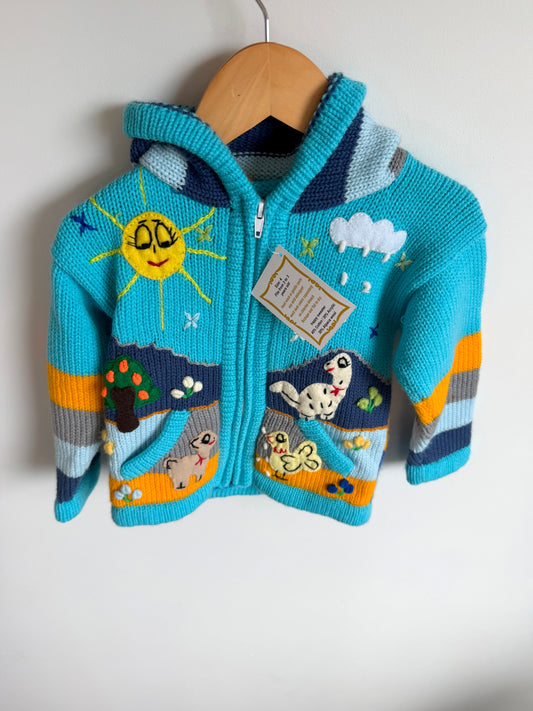 Alpaca Wool Embroidery Sweater (With tags) / 2-3T