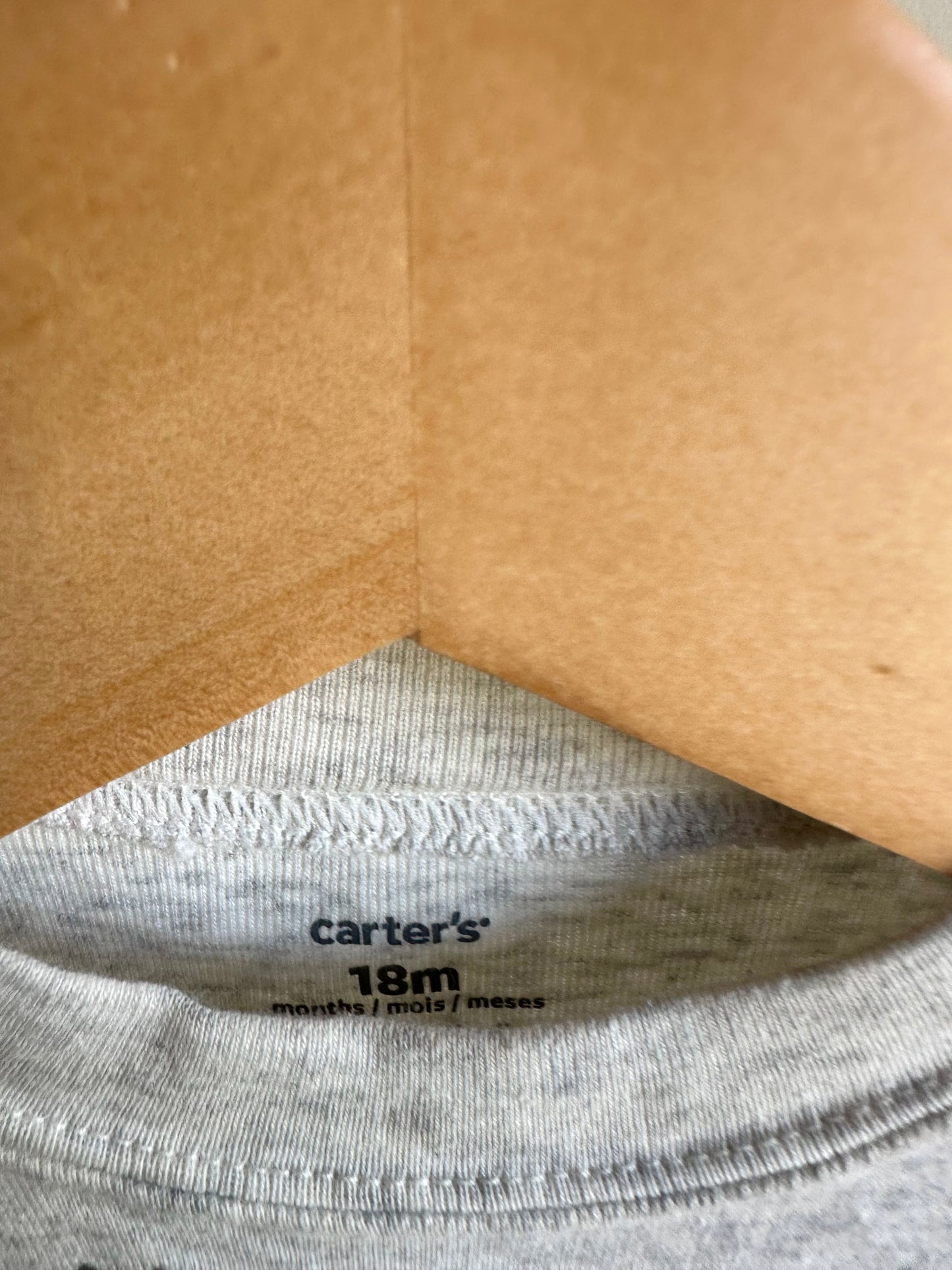 Dino Grey Bodysuit / 18m