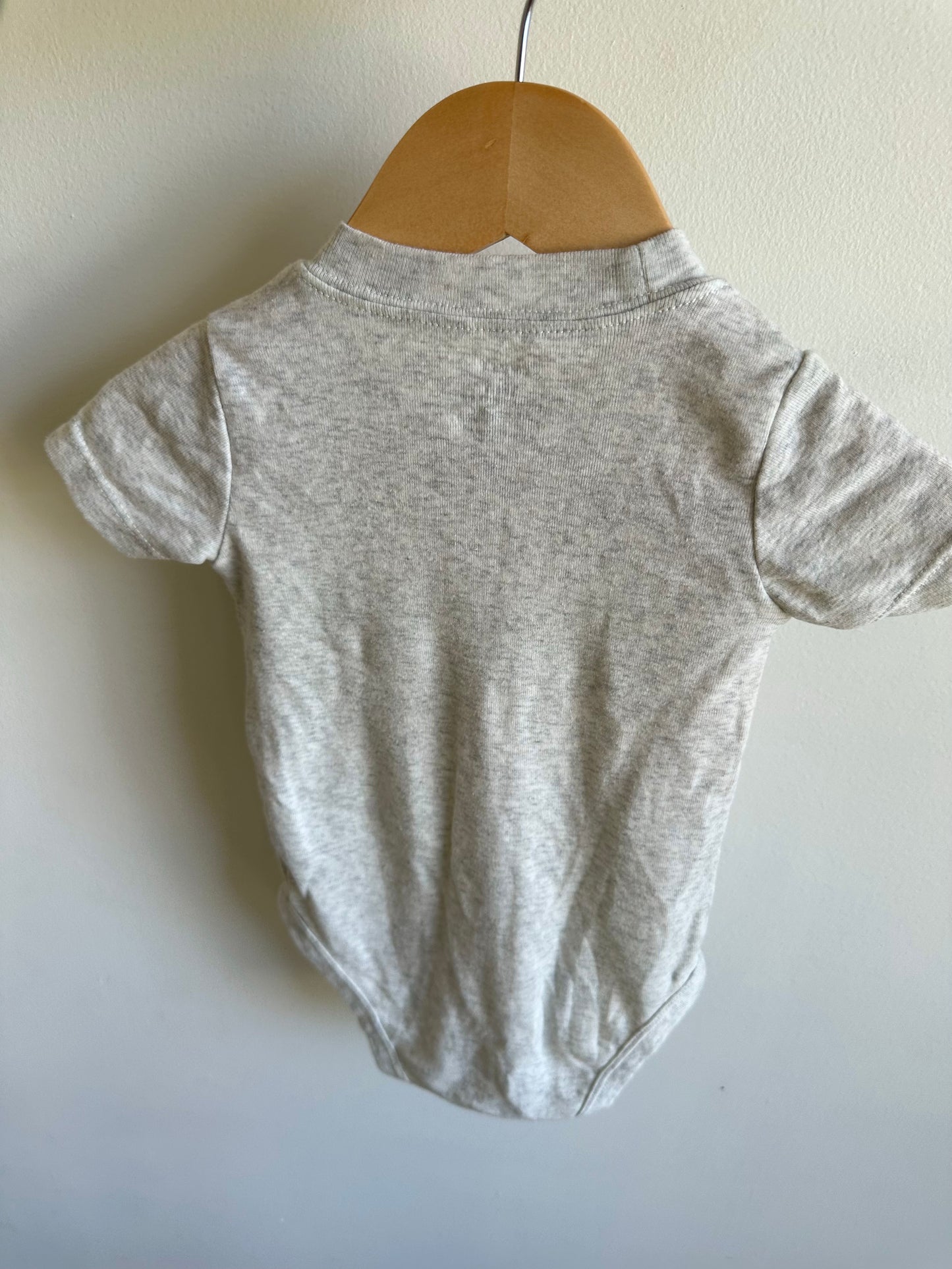 Dino Grey Bodysuit / 18m