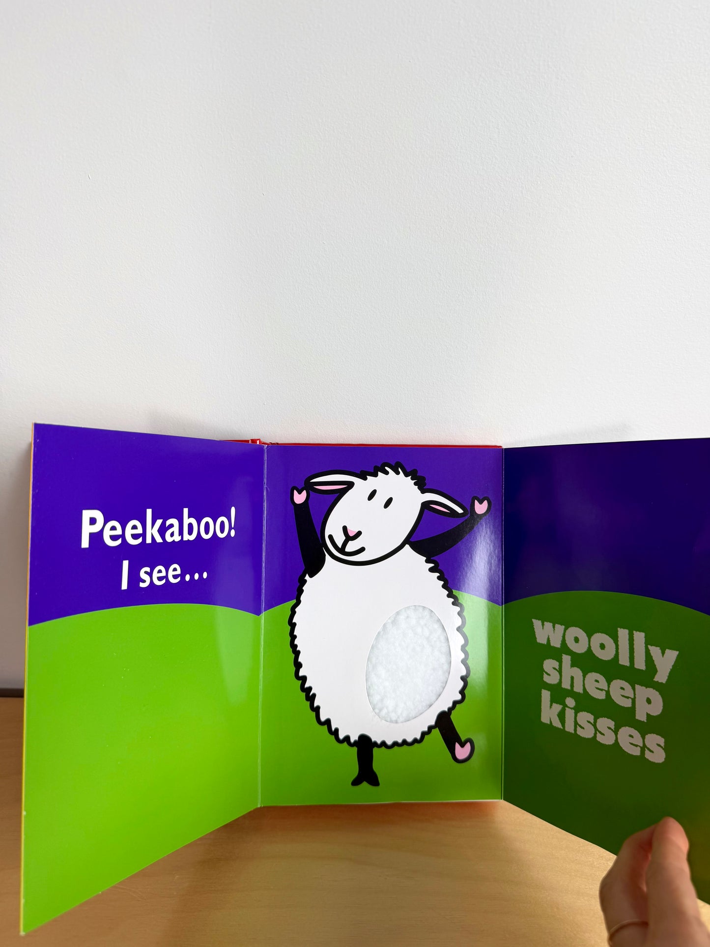 Peekaboo Kisses Book / 0-2 years (No Shipping)