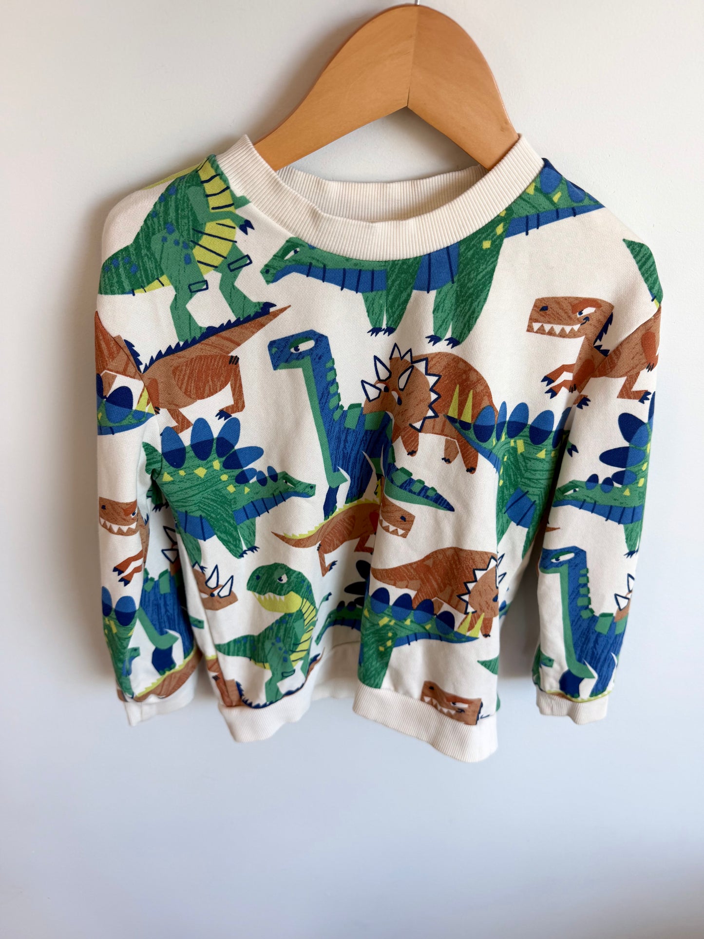H&M Dino Crewneck / 4-6T