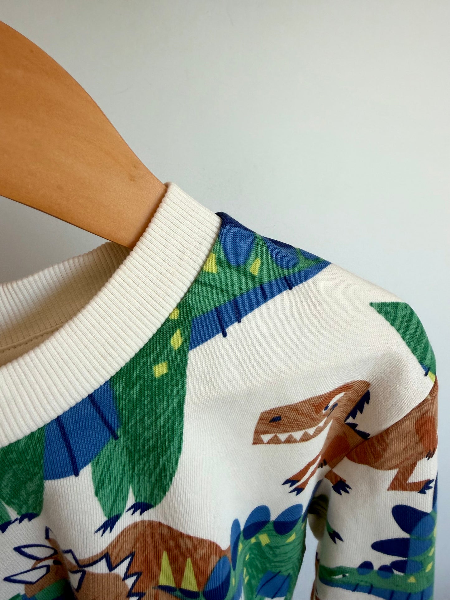 H&M Dino Crewneck / 4-6T