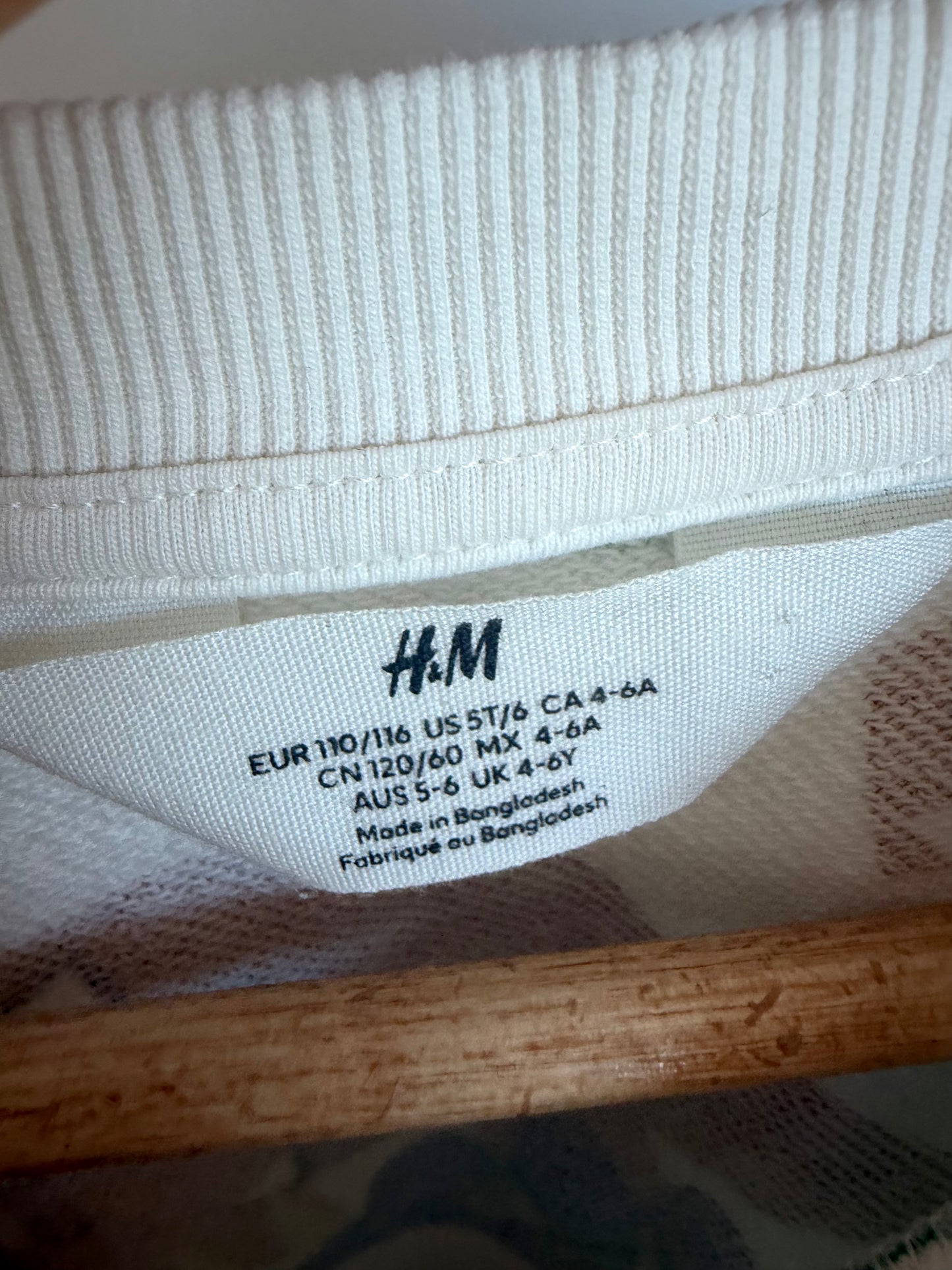 H&M Dino Crewneck / 4-6T