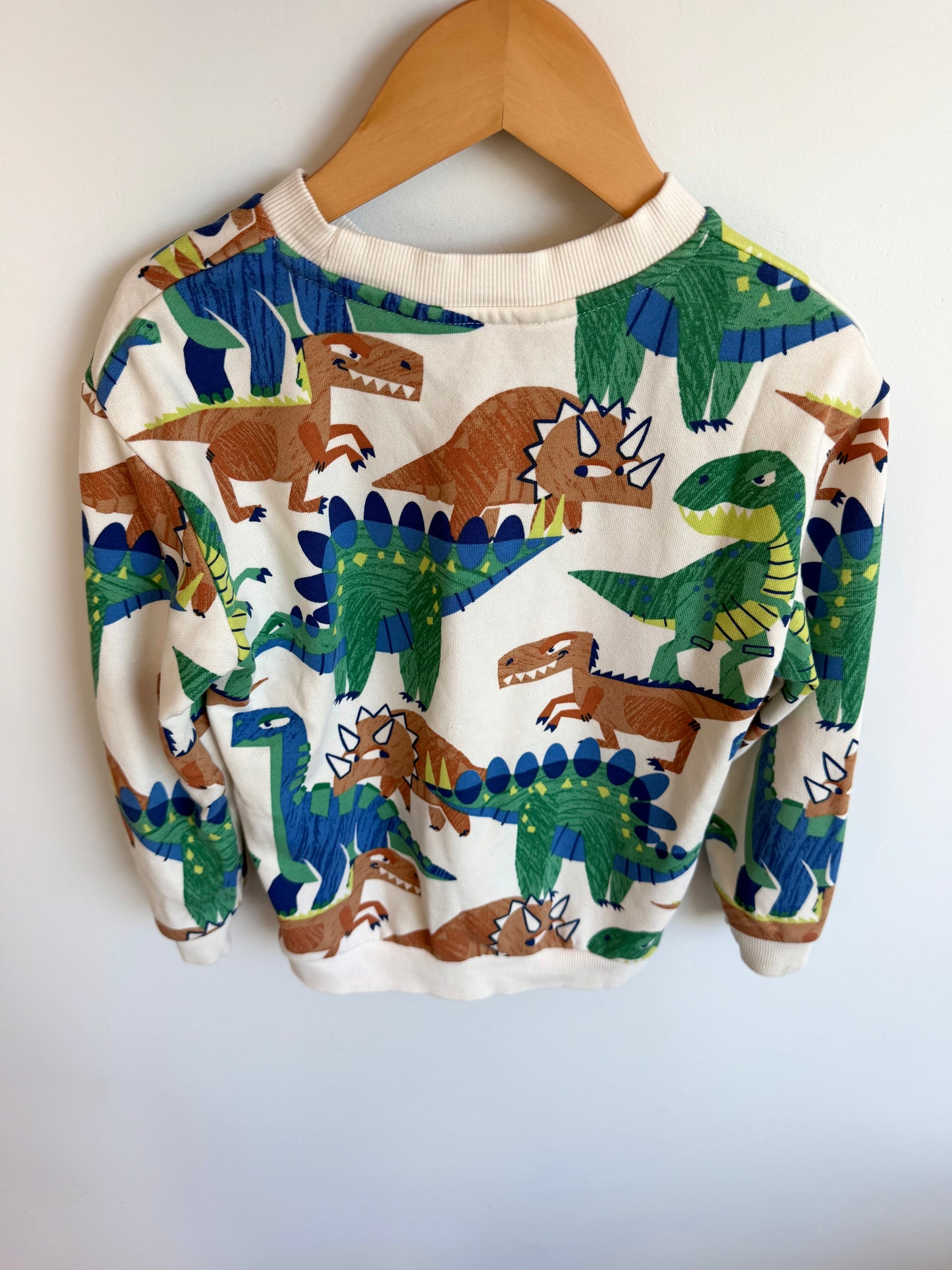 H&M Dino Crewneck / 4-6T