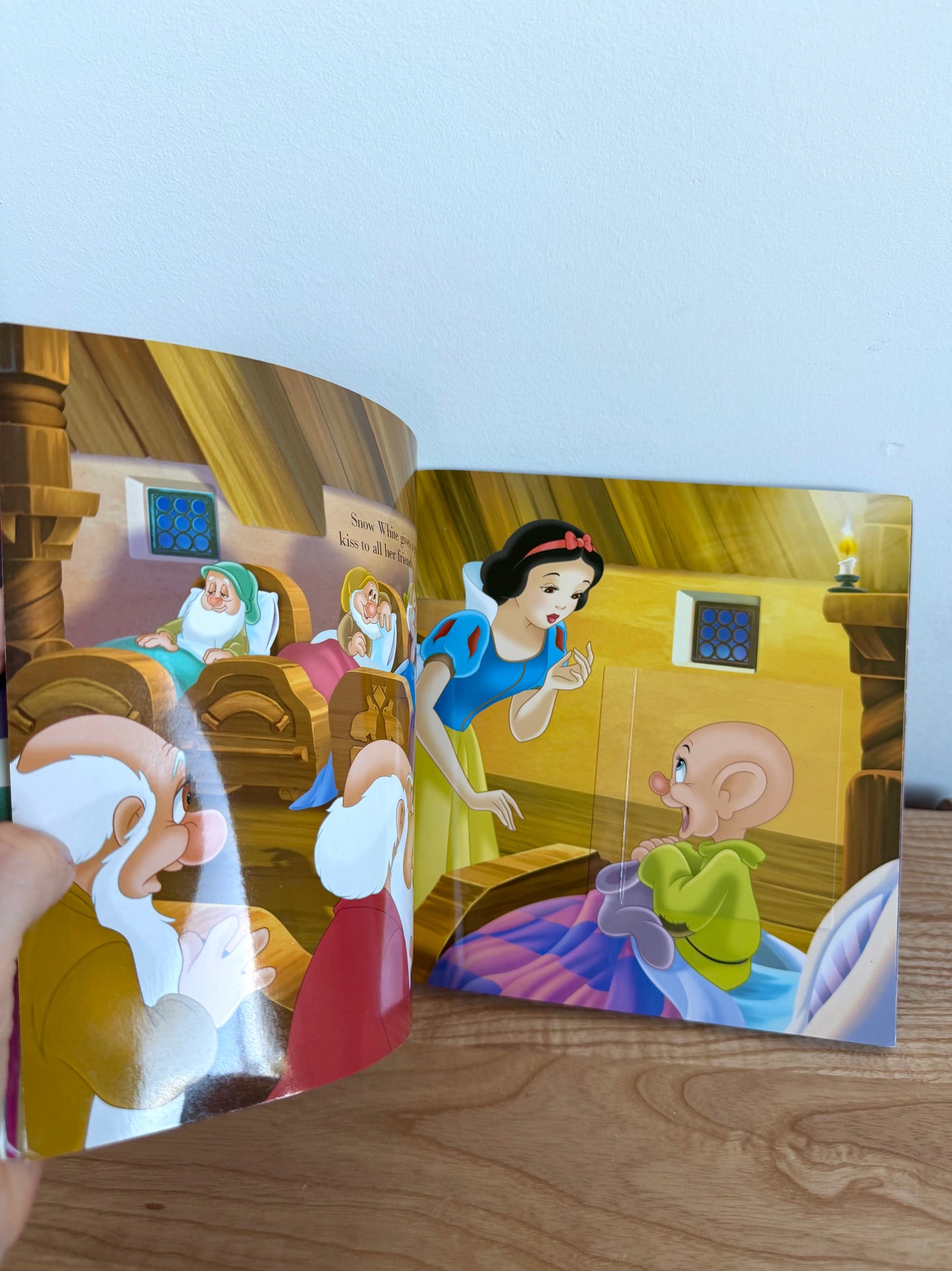 Flap Good Night, Princess! Book / 2-4 years