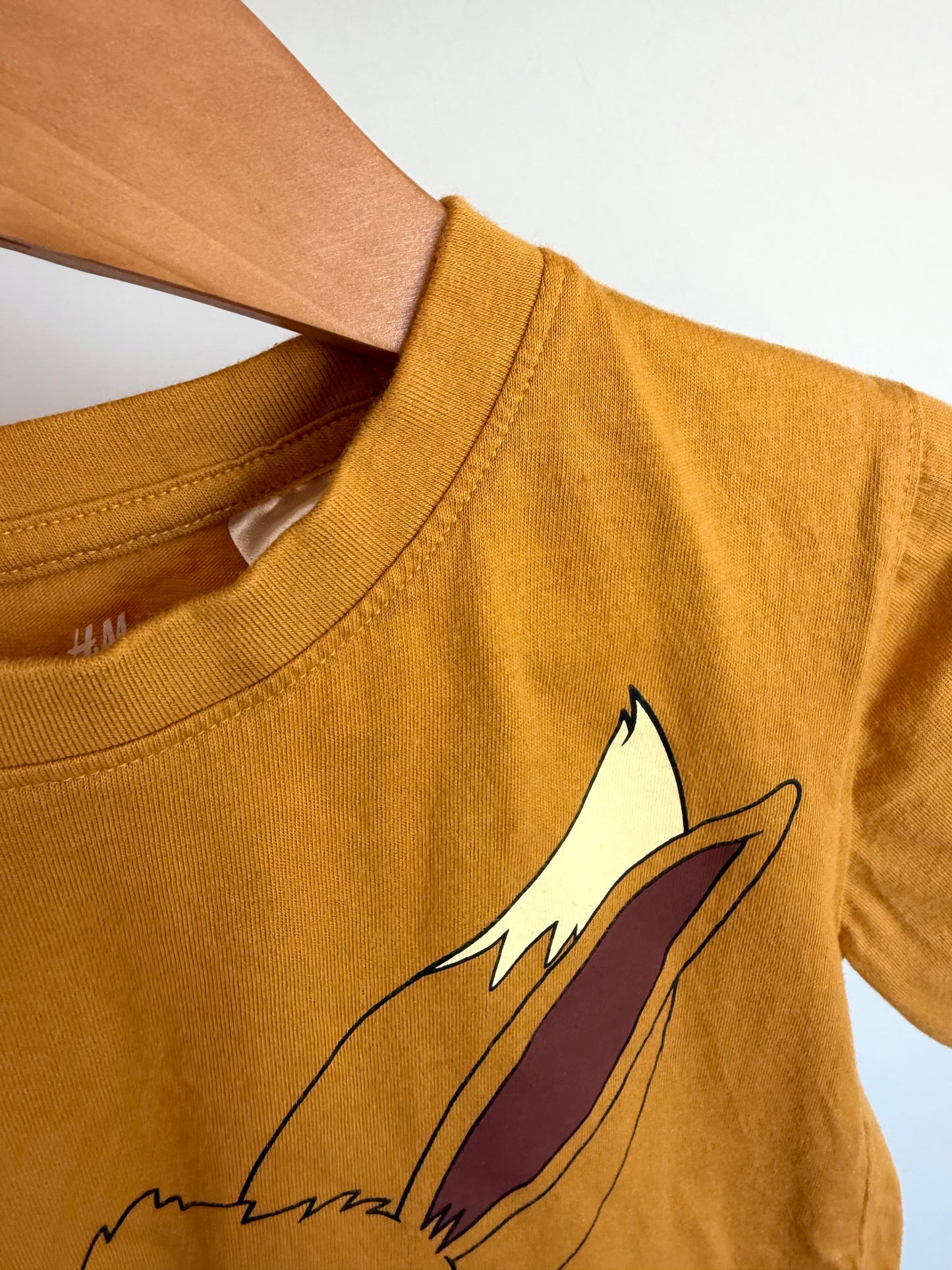 Eevee Graphic T-shirt / 4T