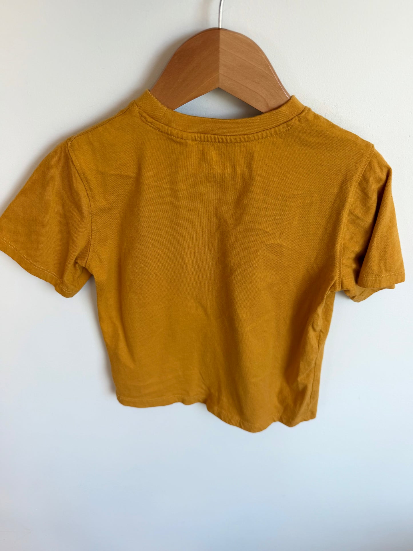 Eevee Graphic T-shirt / 4T