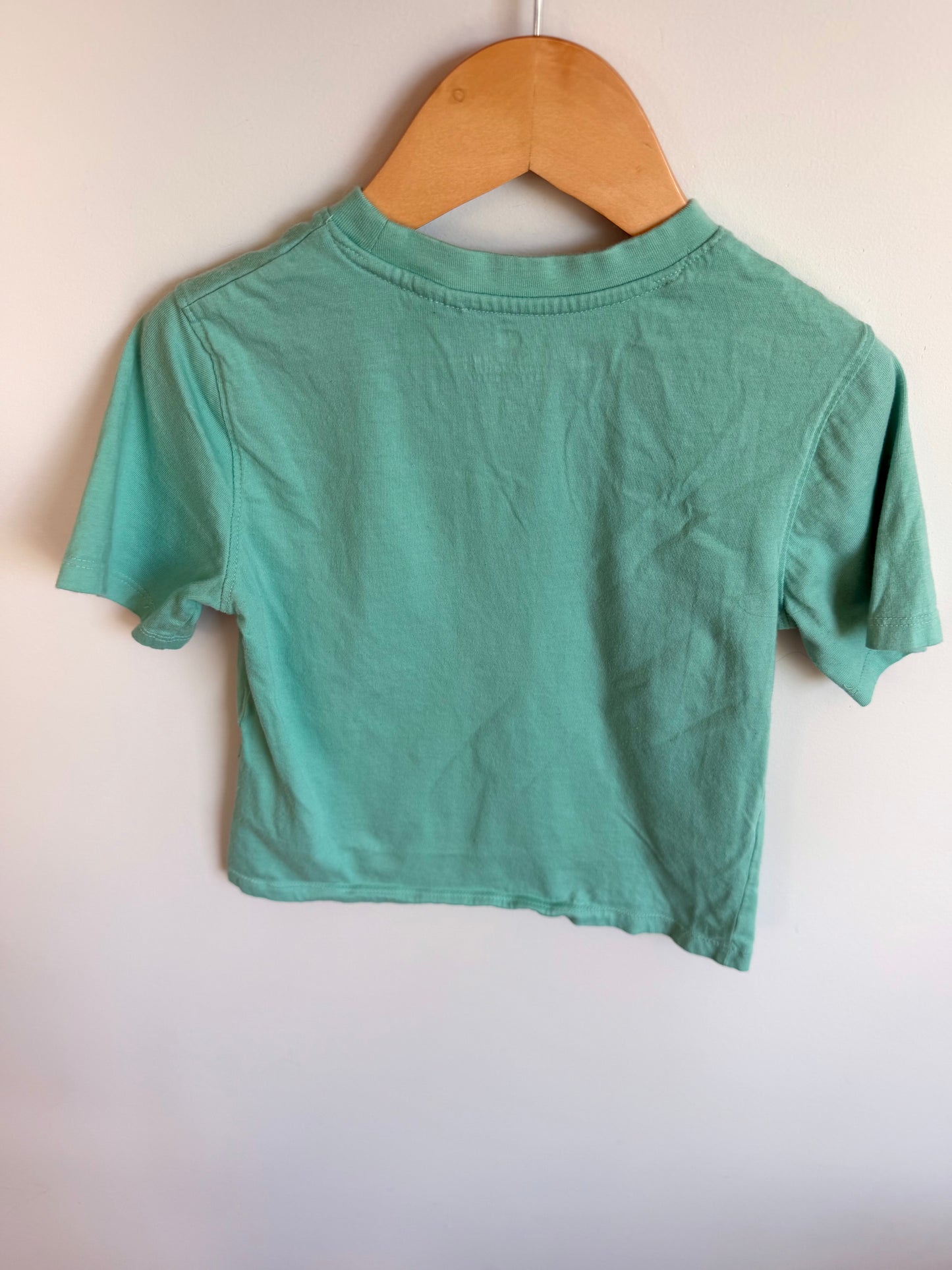 Bulbasaur Graphic T-shirt / 4T