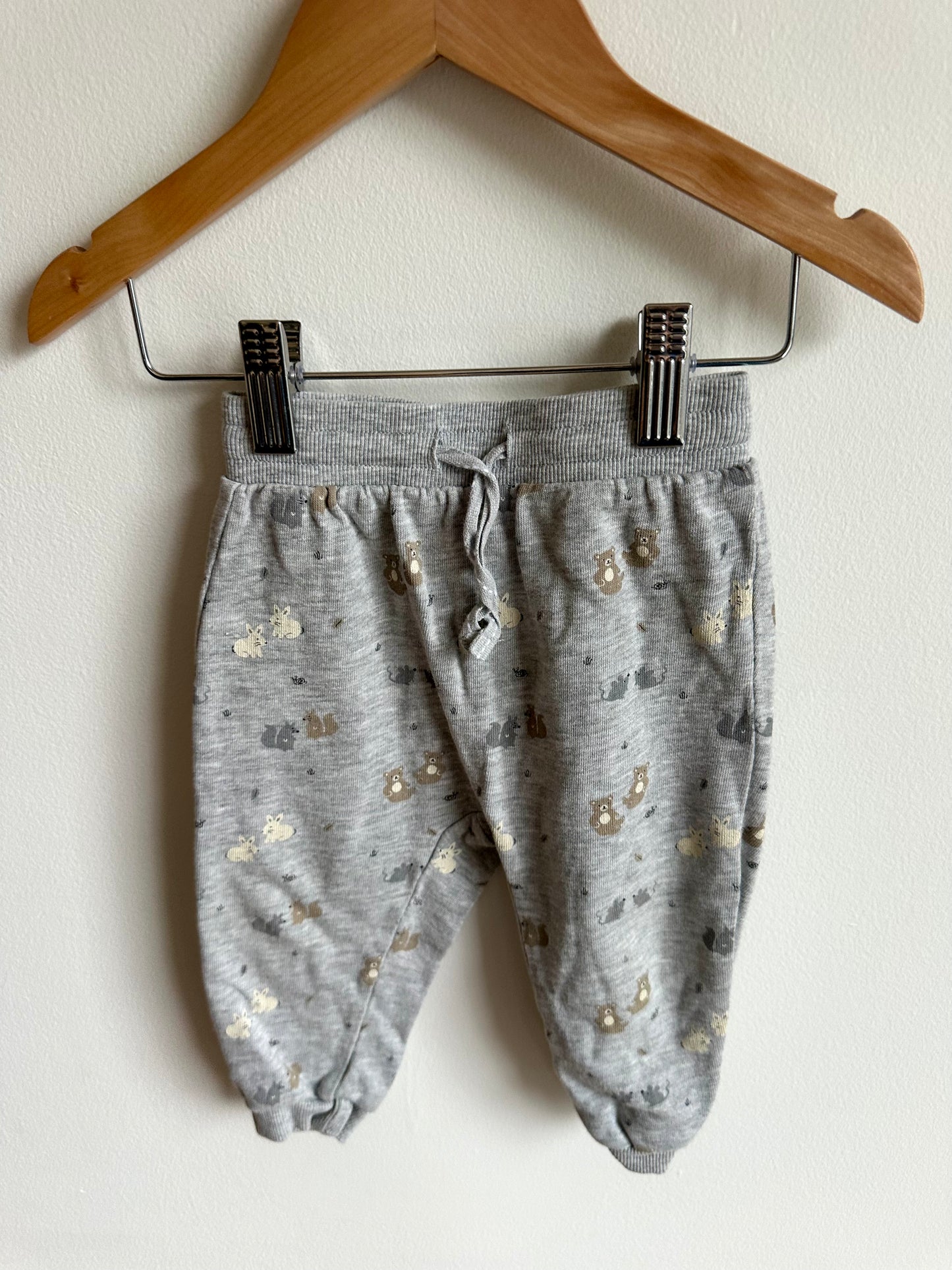 H&M Grey Woodland Pants / 9-12m