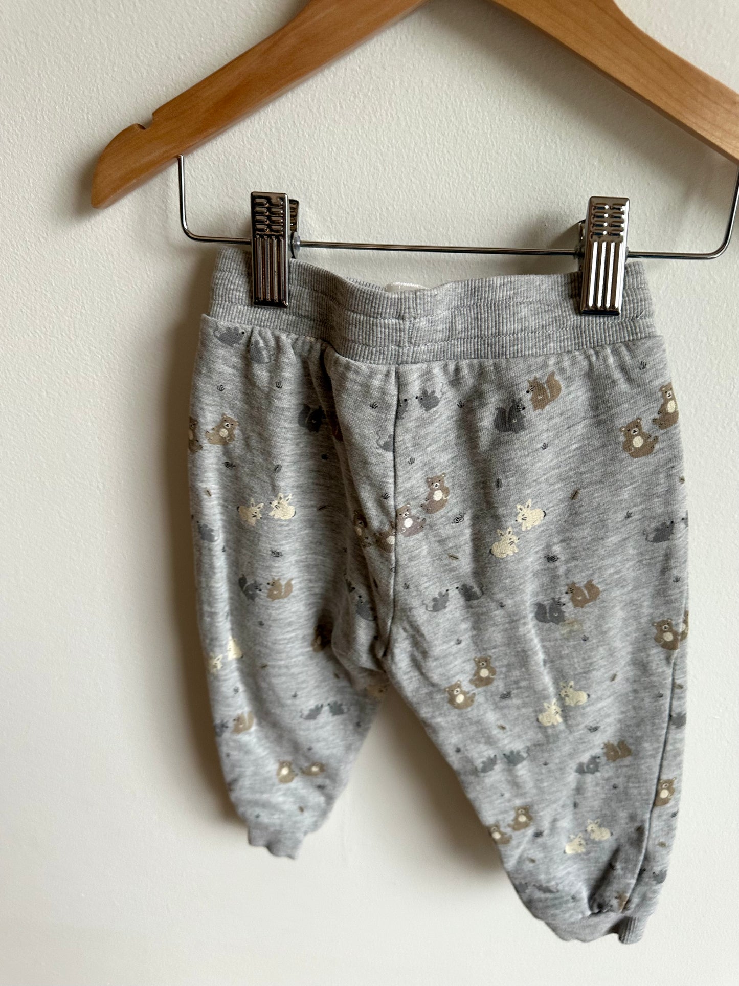 H&M Grey Woodland Pants / 9-12m