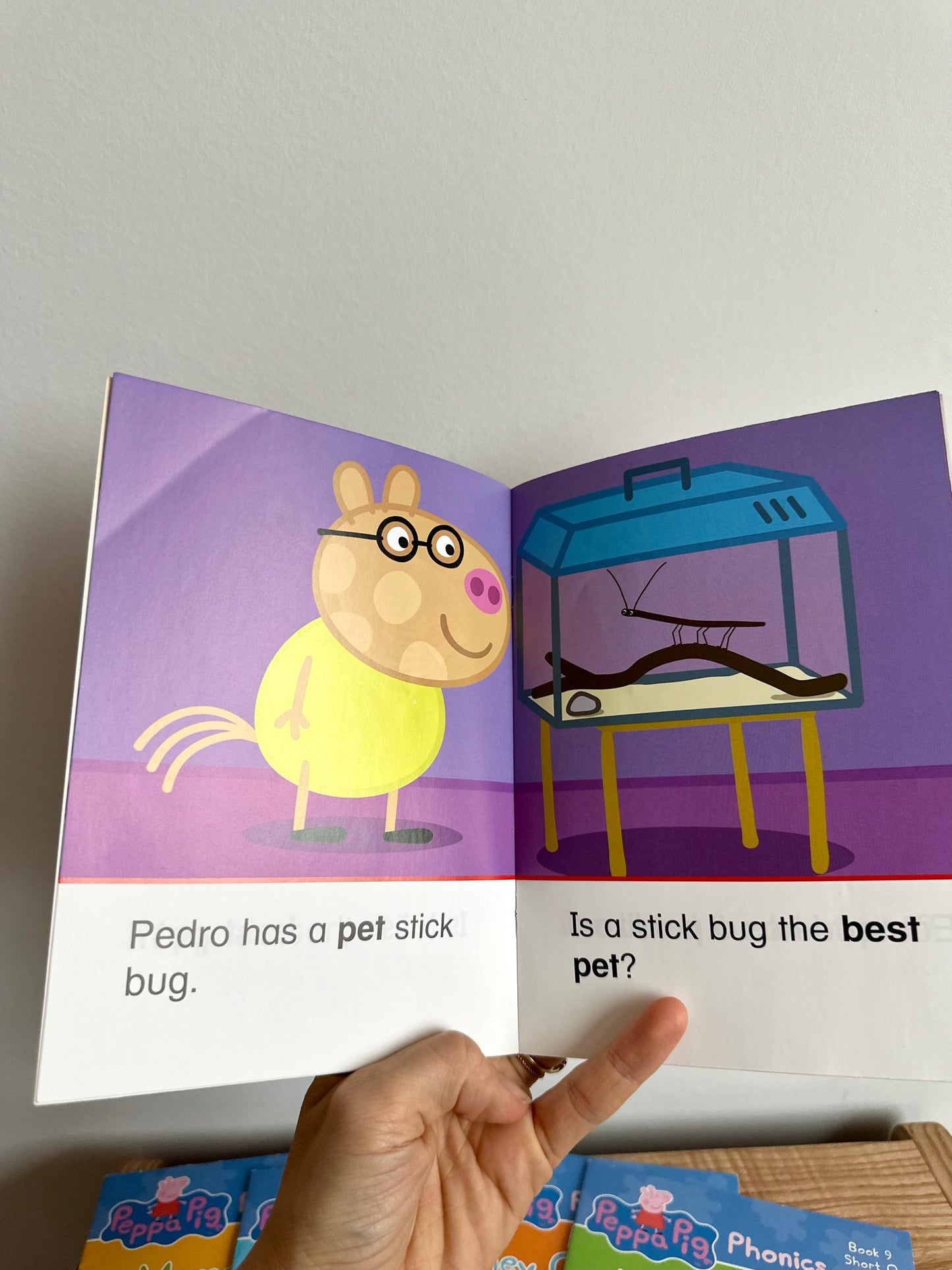 Peppa Pig Phonics Books / 3-5 years