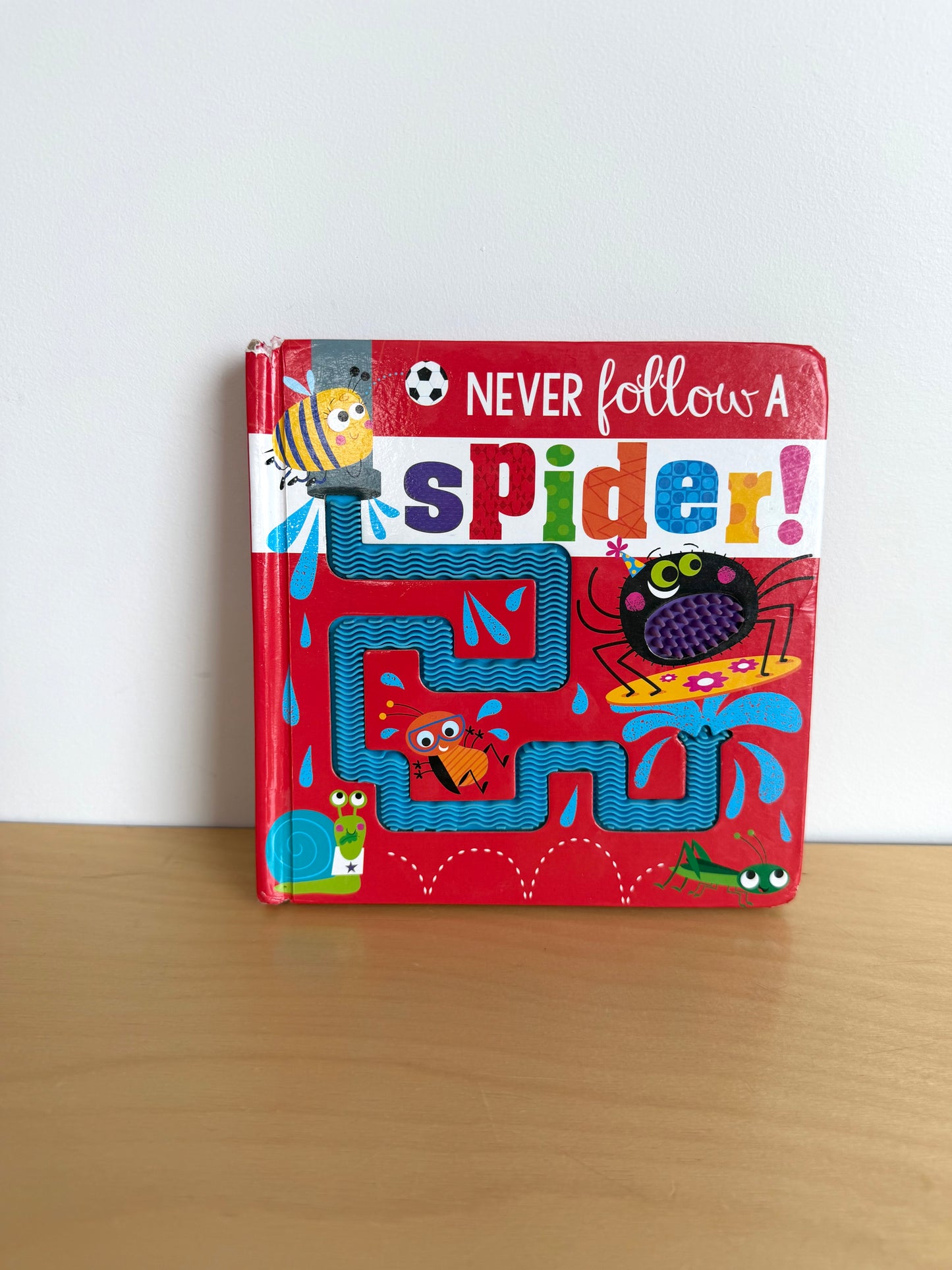 Never Follow A Spider! Book / 0-3 years
