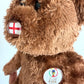 TY Champion FIFA Bear Stuffy Toy