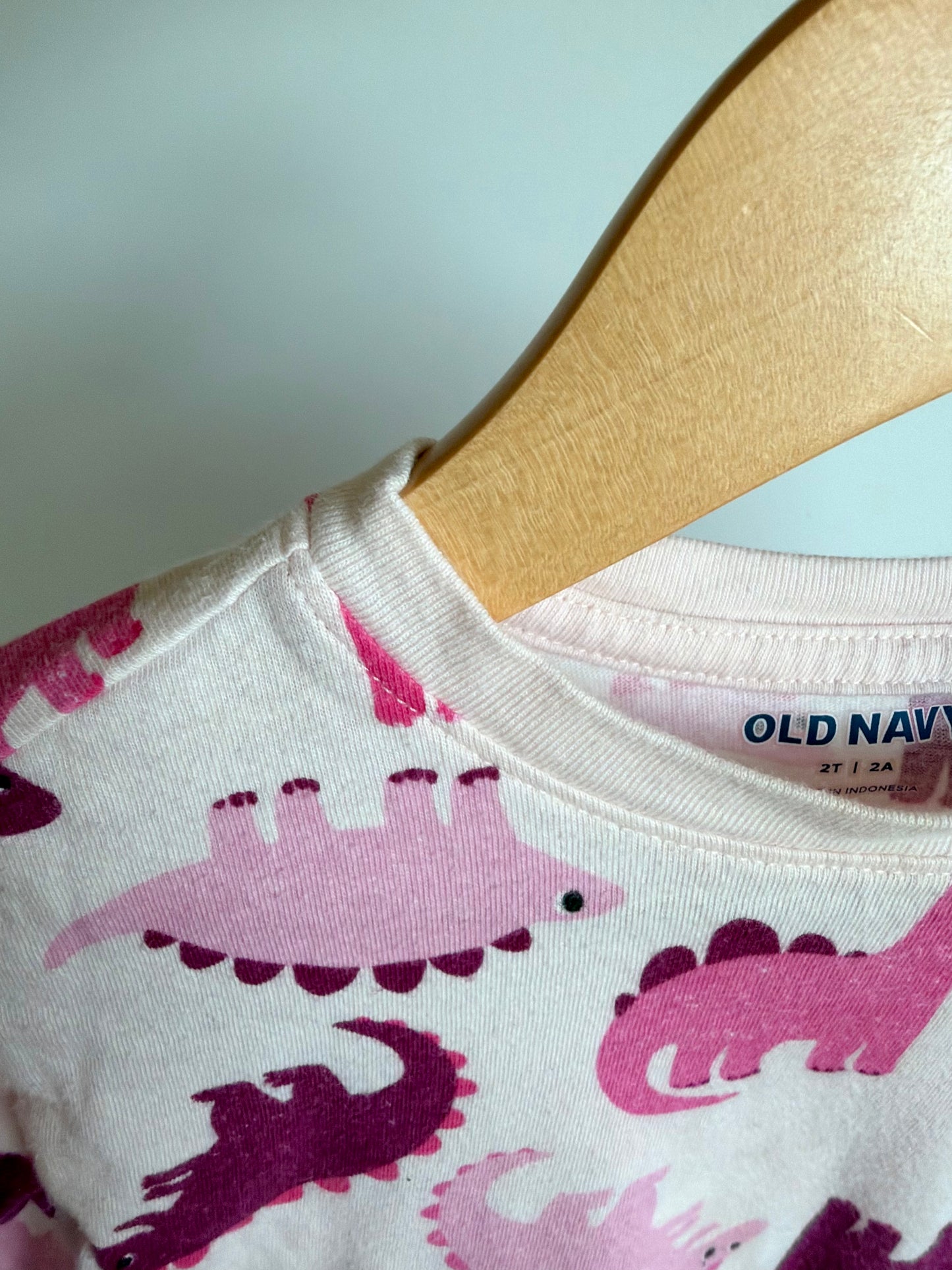 Pink Dinosaur Top / 2T