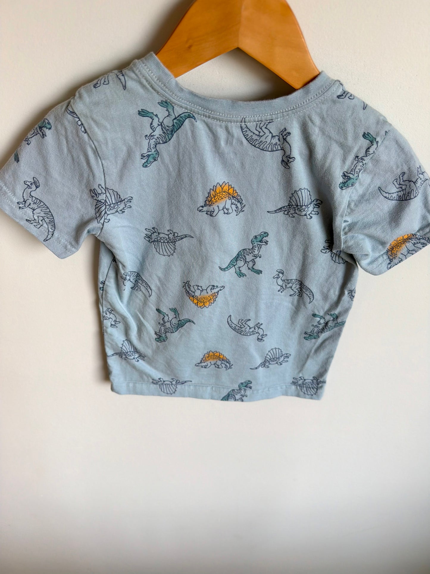 Blue Dino Top / 4T