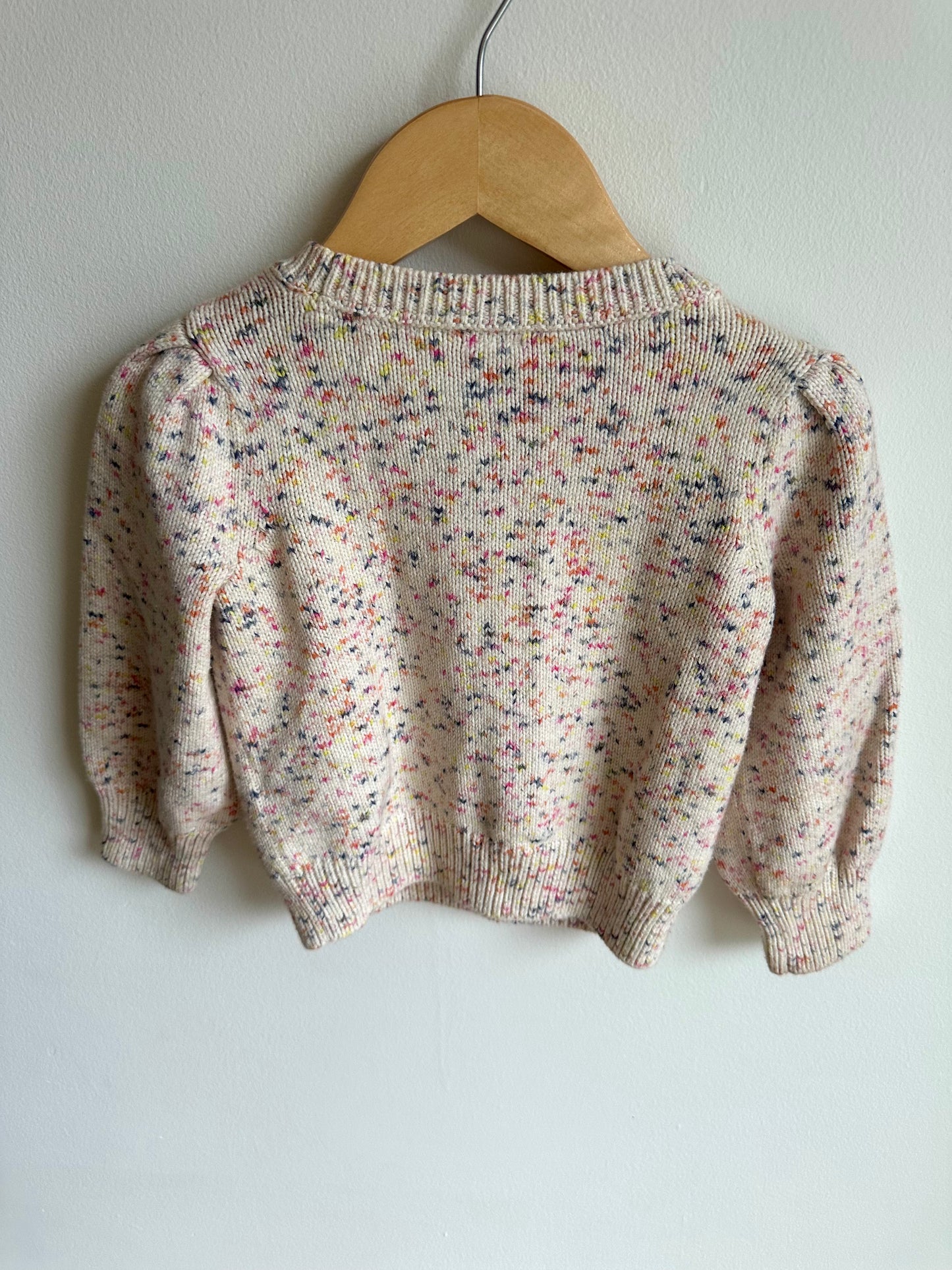 Speckled Crew Neck Sweater / 2T