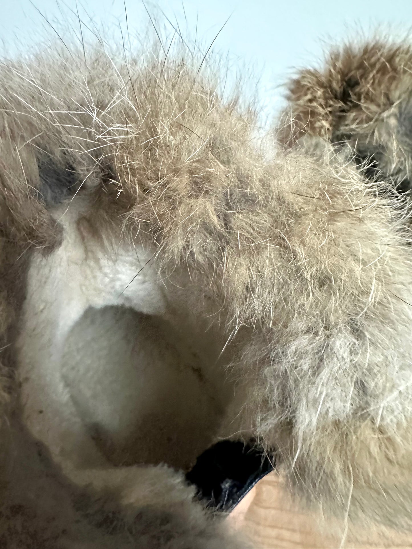 Black Boots with Fur / Size 7 Toddler