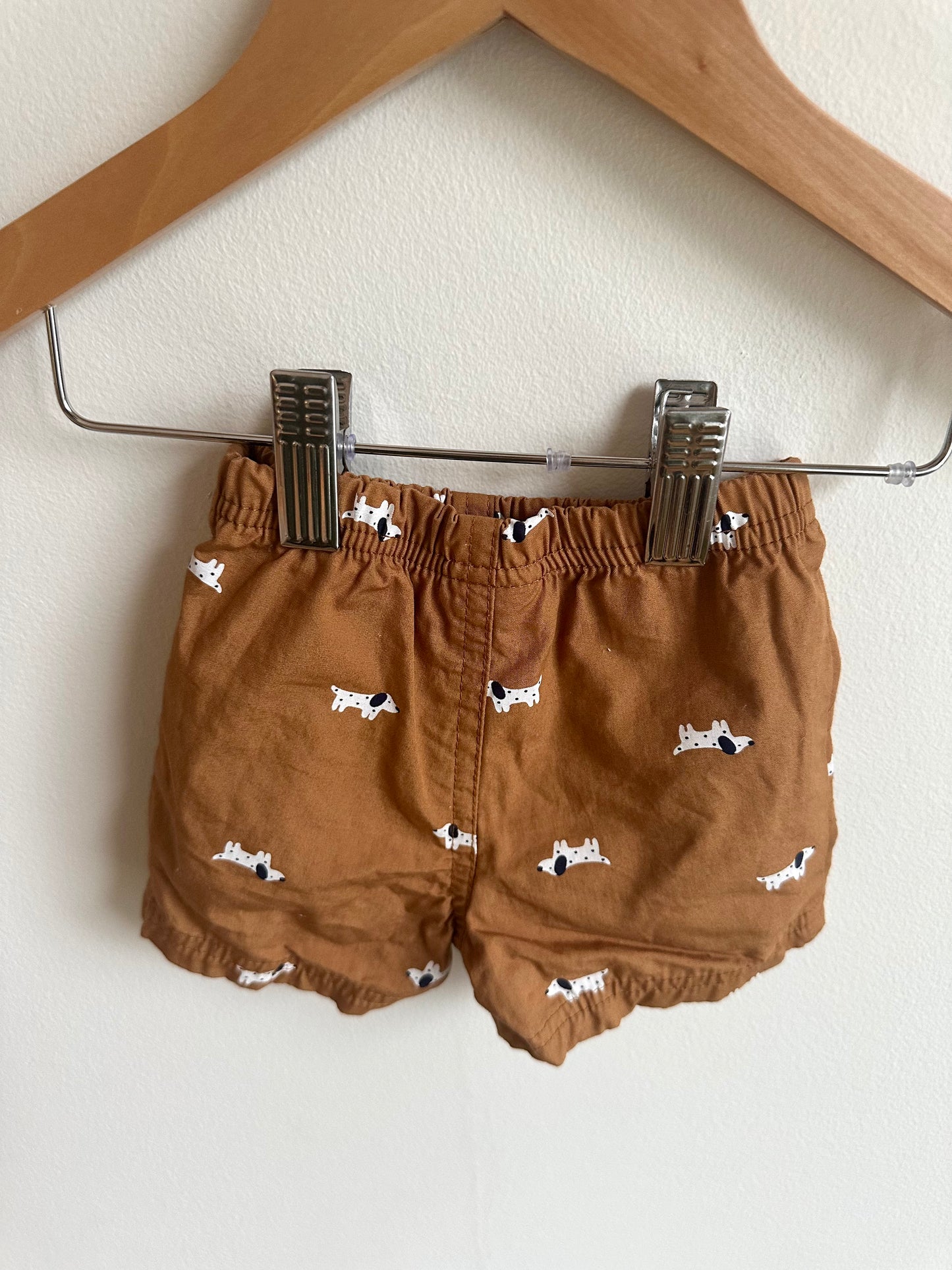 Brown Dog Shorts / 3m