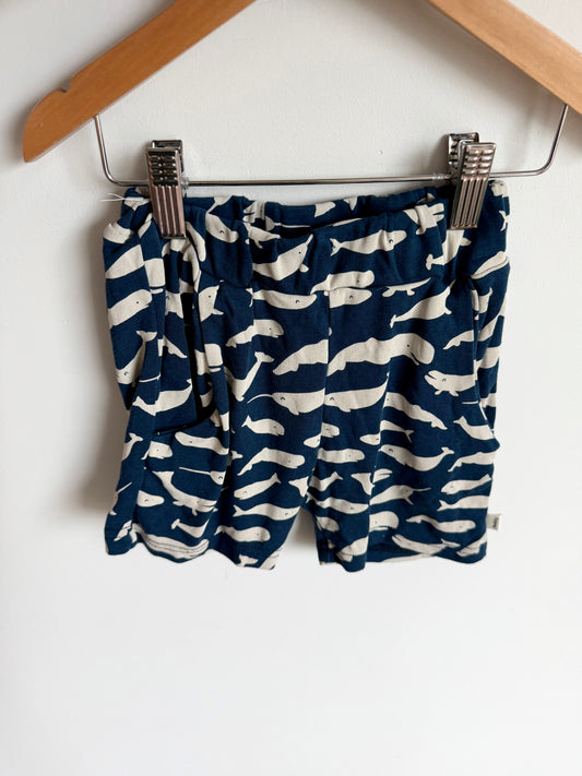 Teddy Little Whale Shorts / 3T?