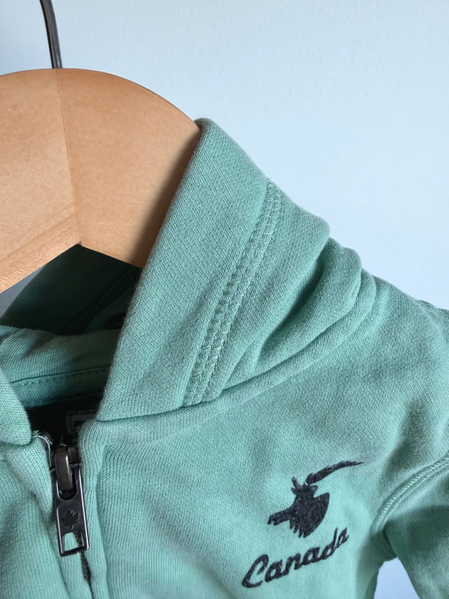 Canada Pistachio Hoodie / 3T