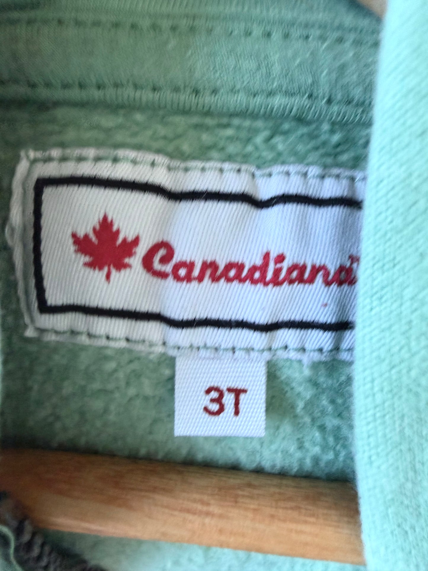Canada Pistachio Hoodie / 3T